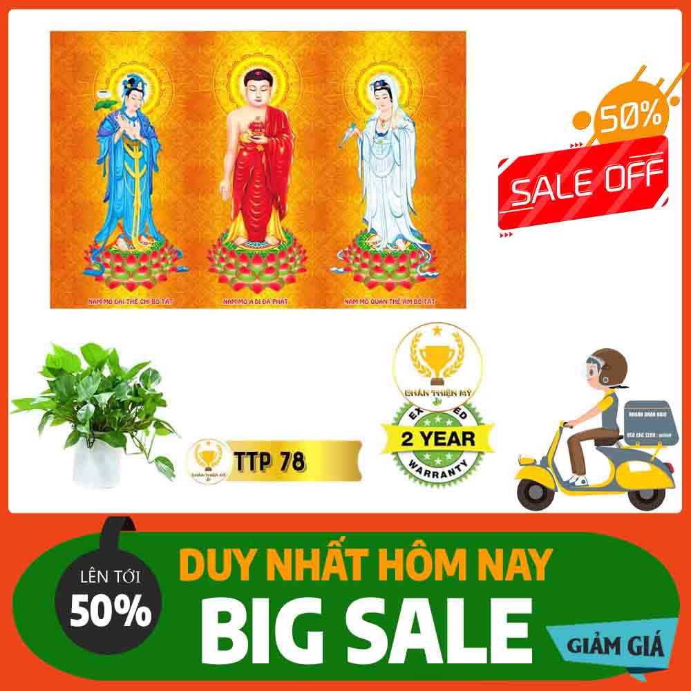 Tranh Tam Thế Phật MS 78