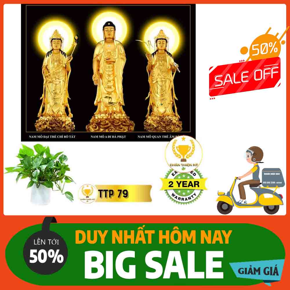 Tranh Tam Thế Phật MS 79