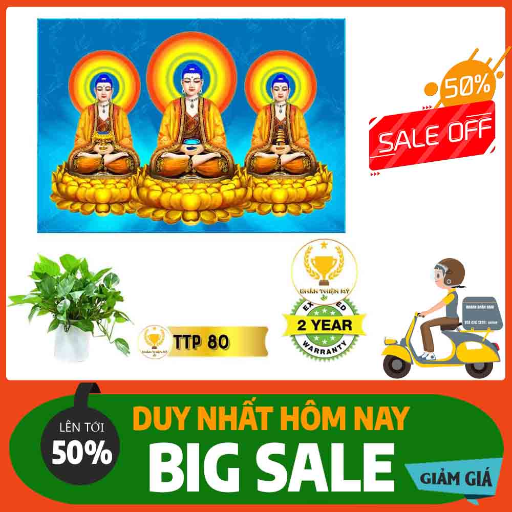 Tranh Tam Thế Phật MS 80