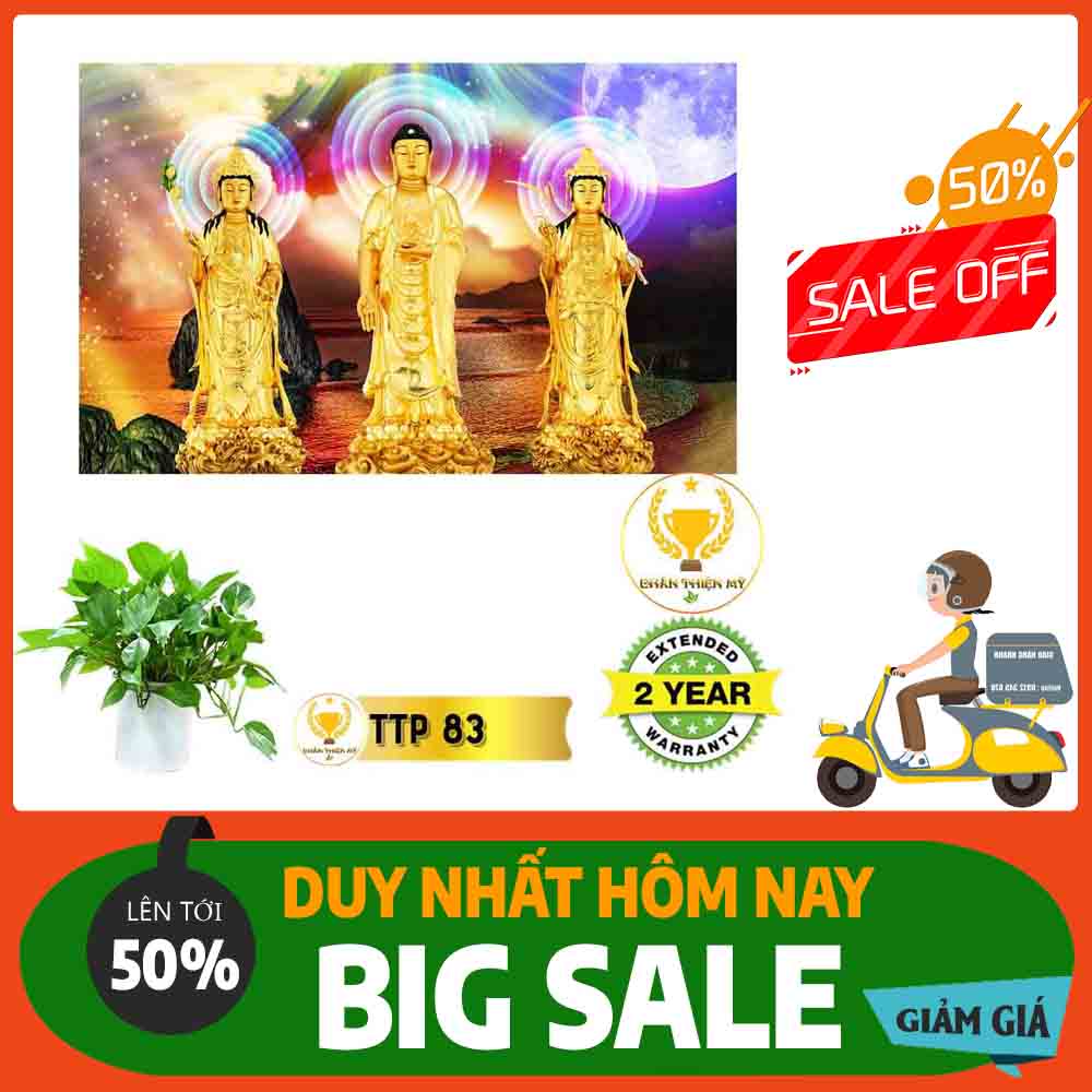 Tranh Tam Thế Phật MS 83