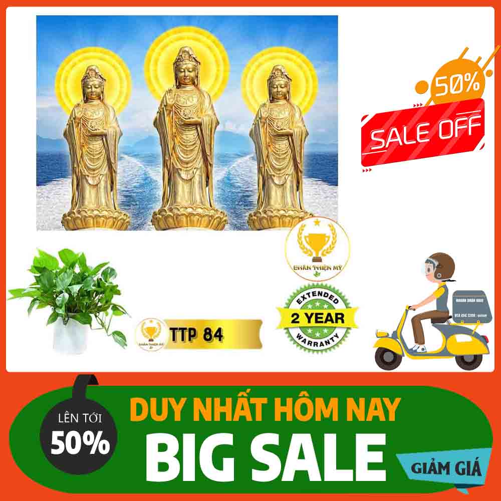 Tranh Tam Thế Phật MS 84