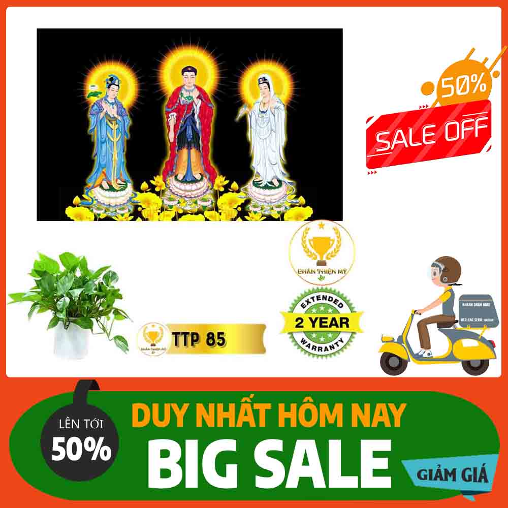Tranh Tam Thế Phật MS 85