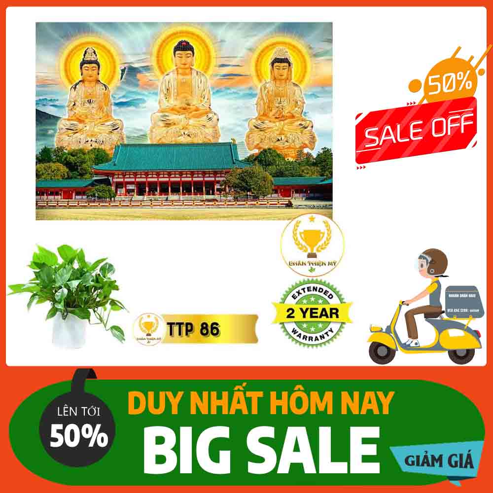 Tranh Tam Thế Phật MS 86