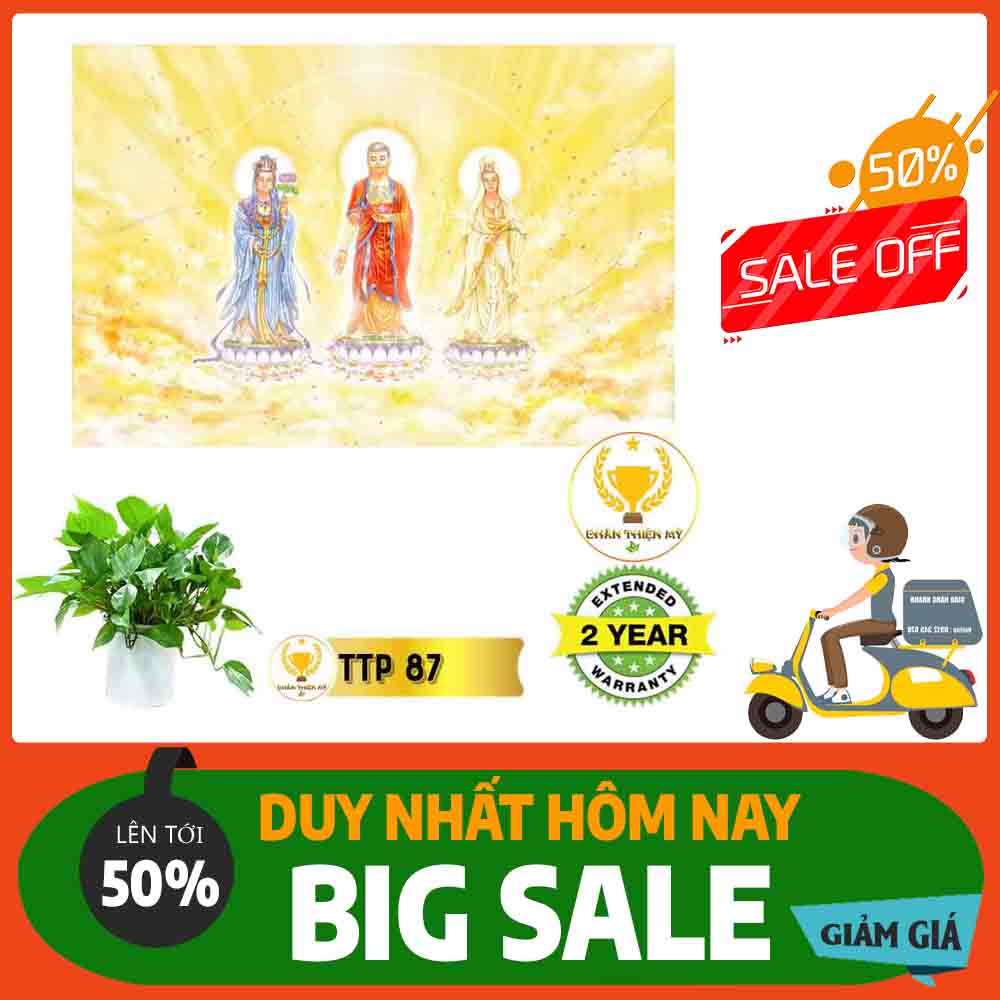 Tranh Tam Thế Phật MS 87