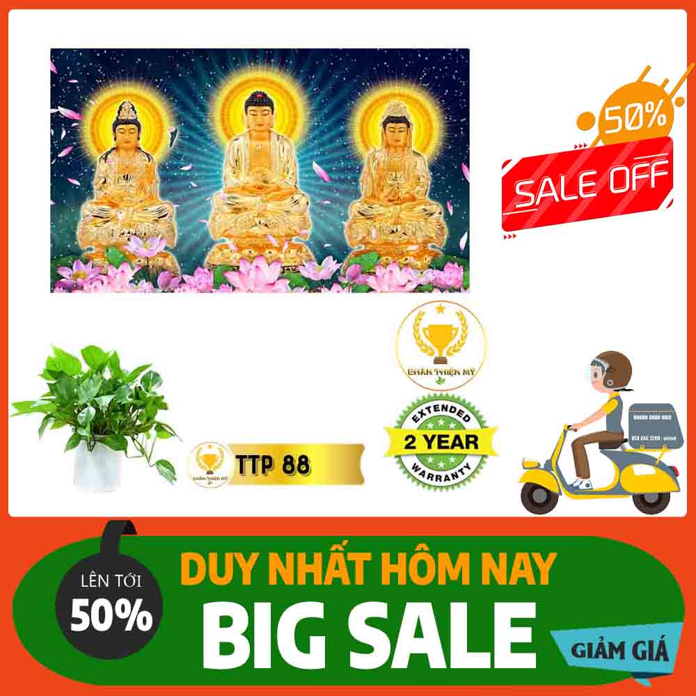 Tranh Tam Thế Phật MS 88