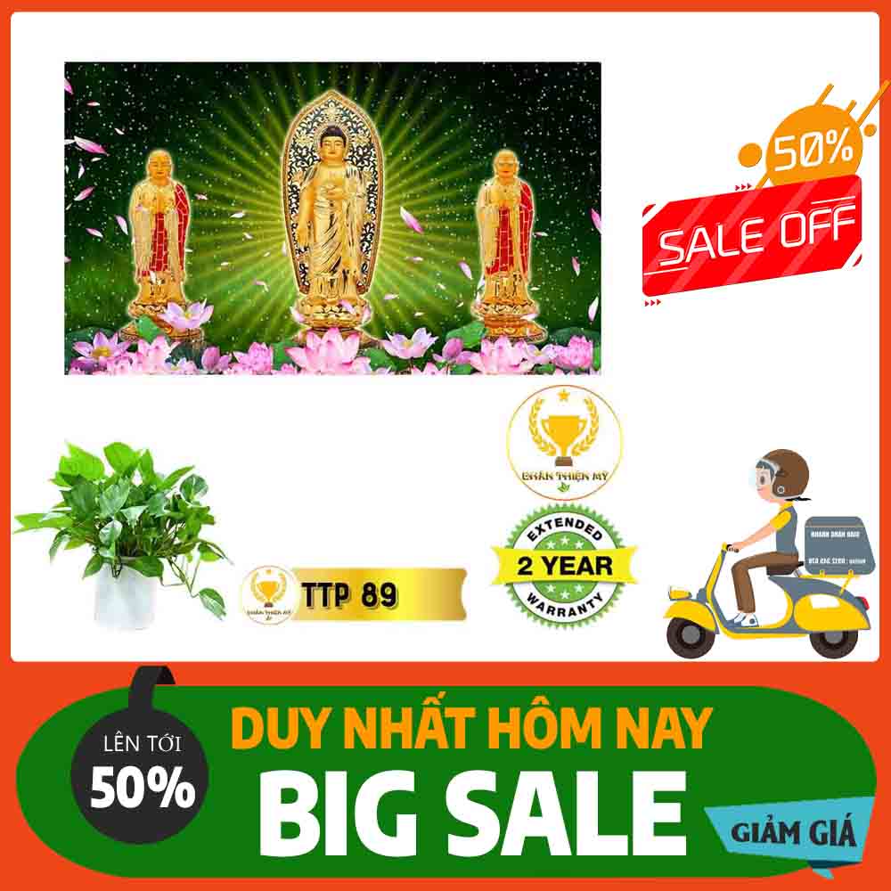Tranh Tam Thế Phật MS 89