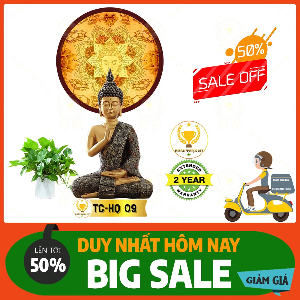 Hào quang trúc chỉ in TC 09