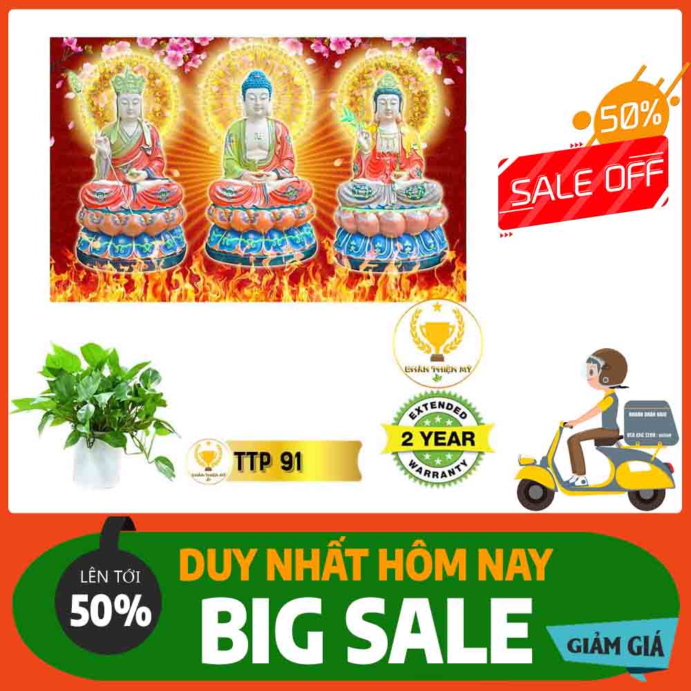 Tranh Tam Thế Phật MS 91