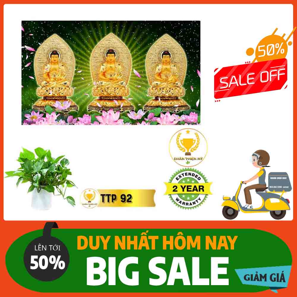Tranh Tam Thế Phật MS 92