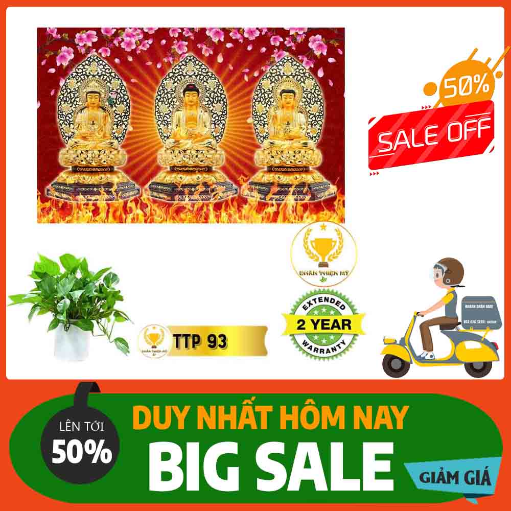 Tranh Tam Thế Phật MS 93