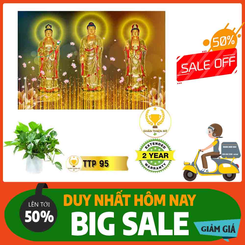 Tranh Tam Thế Phật MS 95