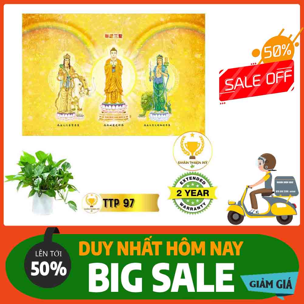 Tranh Tam Thế Phật MS 97