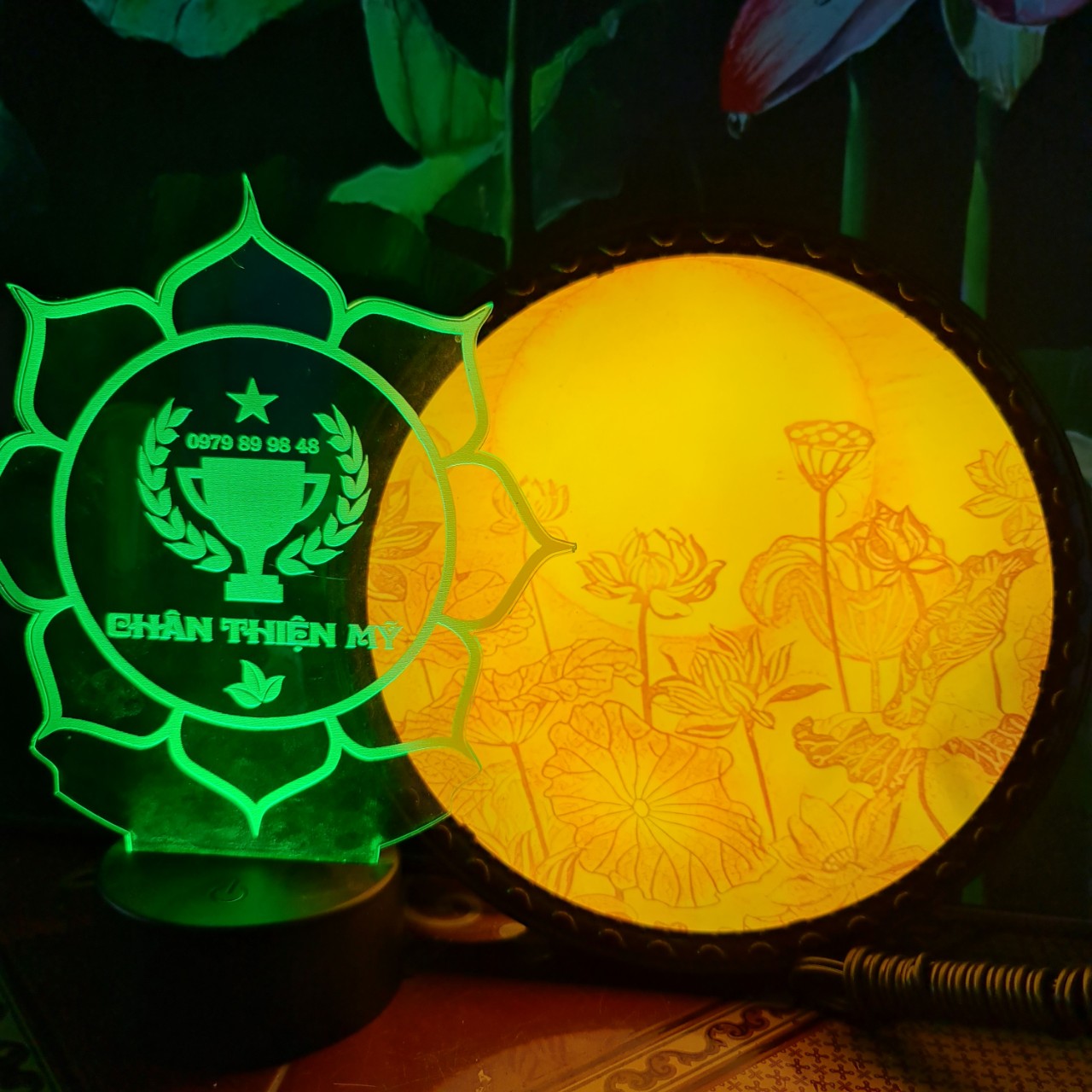 Hào quang trúc chỉ in TC-HQ 07