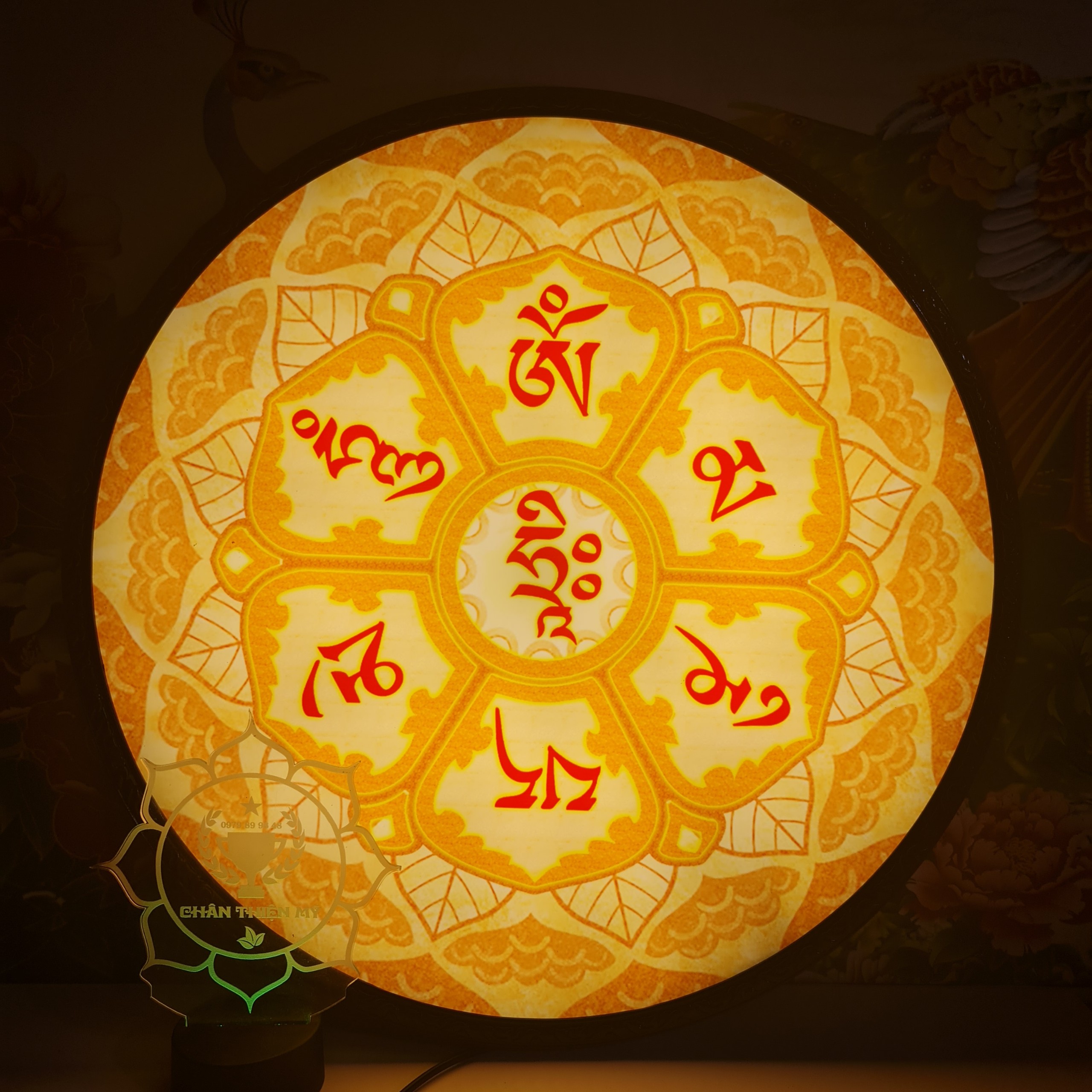 Hào quang trúc chỉ in TC 57