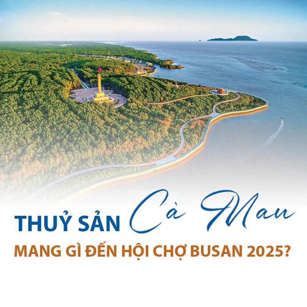 Thuỷ sản Cà Mau mang gì đến Hội chợ Busan 2025?