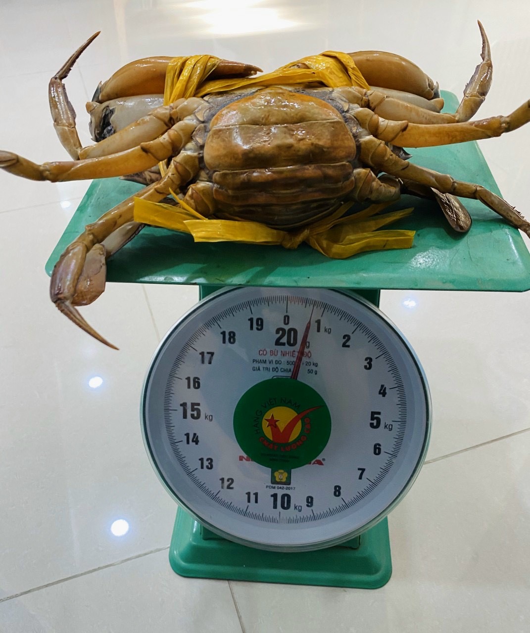 Cua Cà Mau ngoại truyện - Kỳ 1: Loài cua 'ngon nhất Việt Nam' - TTO