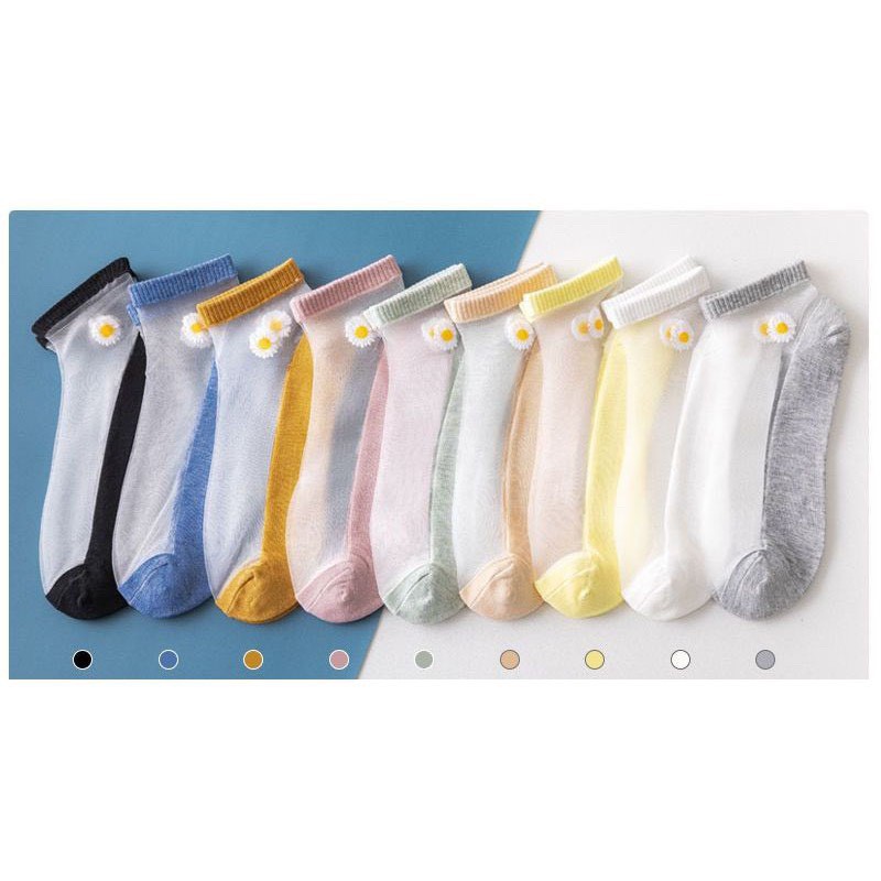 SET 10 ĐÔI VỚ REN HOA CÚC