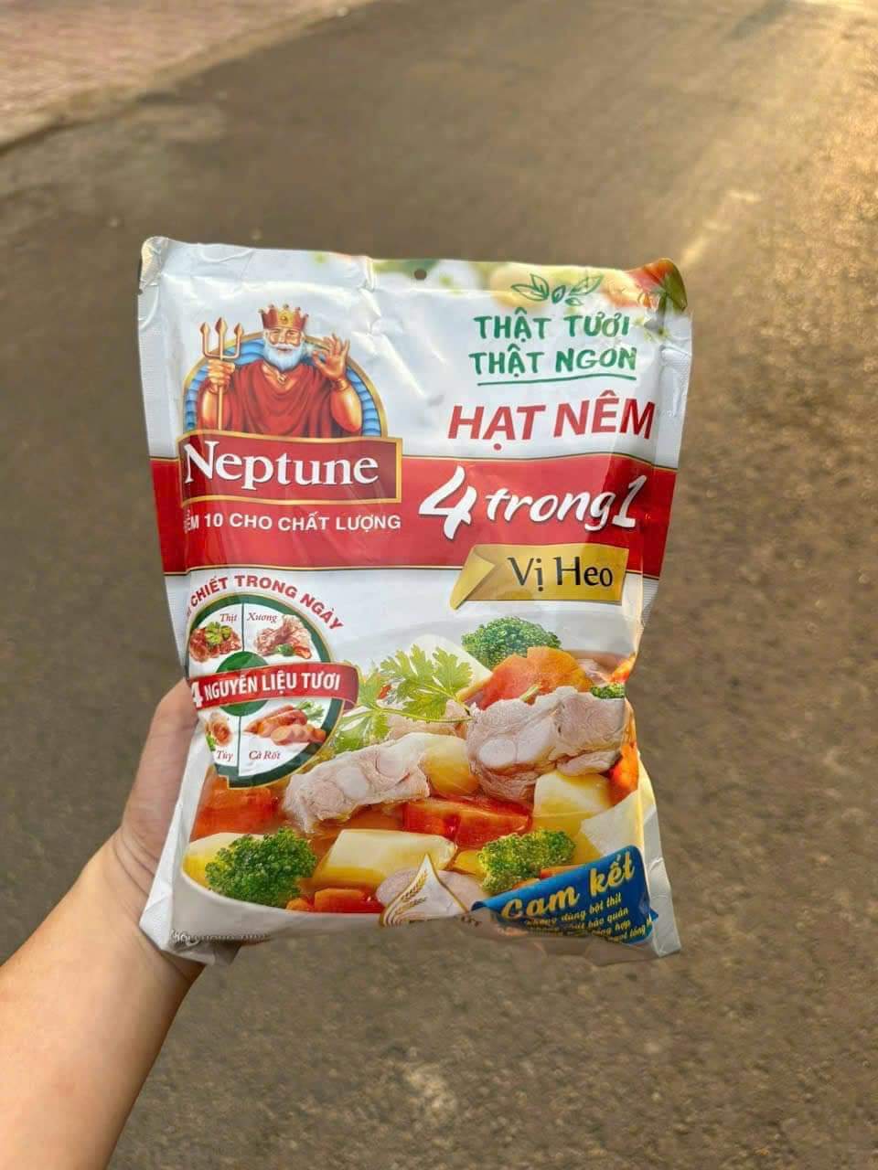 HẠT NÊM NEPTUNE