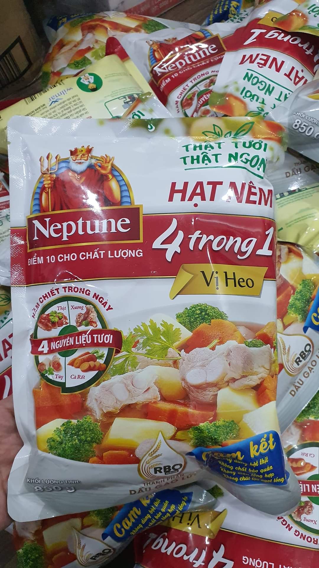 HẠT NÊM NEPTUNE