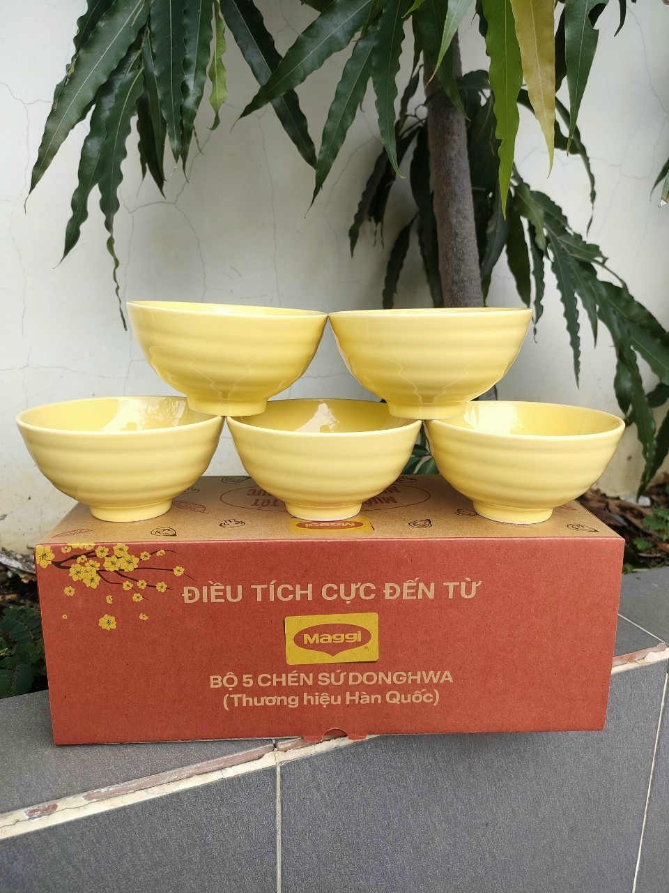 BỘ 5 CHÉN  DONGHWA