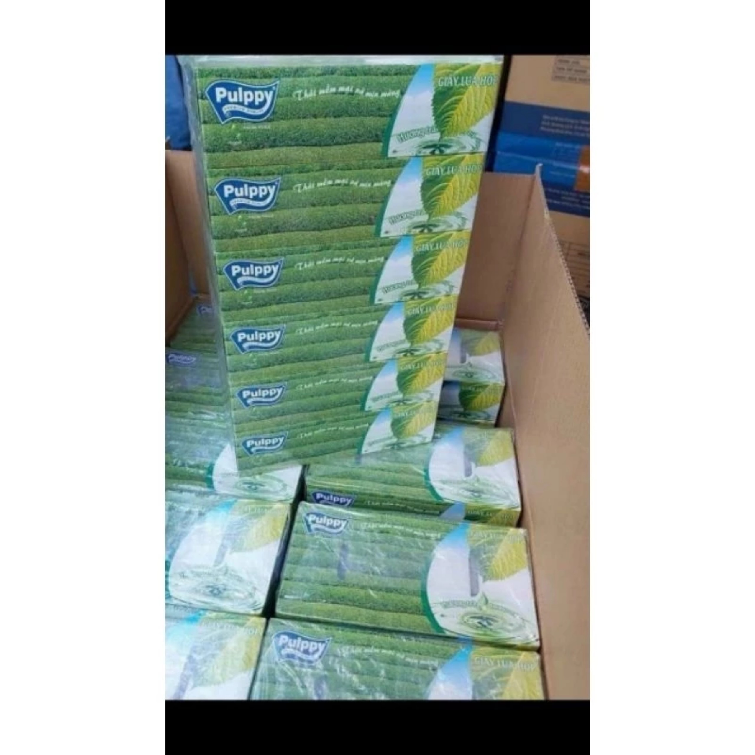 COMBO 2 hộp Giấy lụa Pulppy thật mềm mại và mịn màng