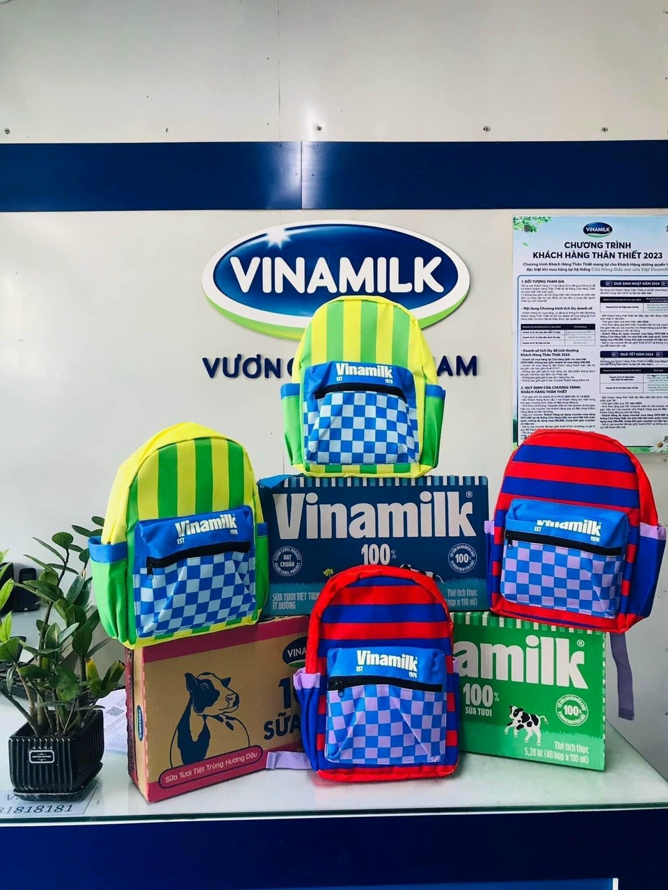 Combo 2 BALO CHO BÉ MẦM NON DỄ THƯƠNG VINAMILK