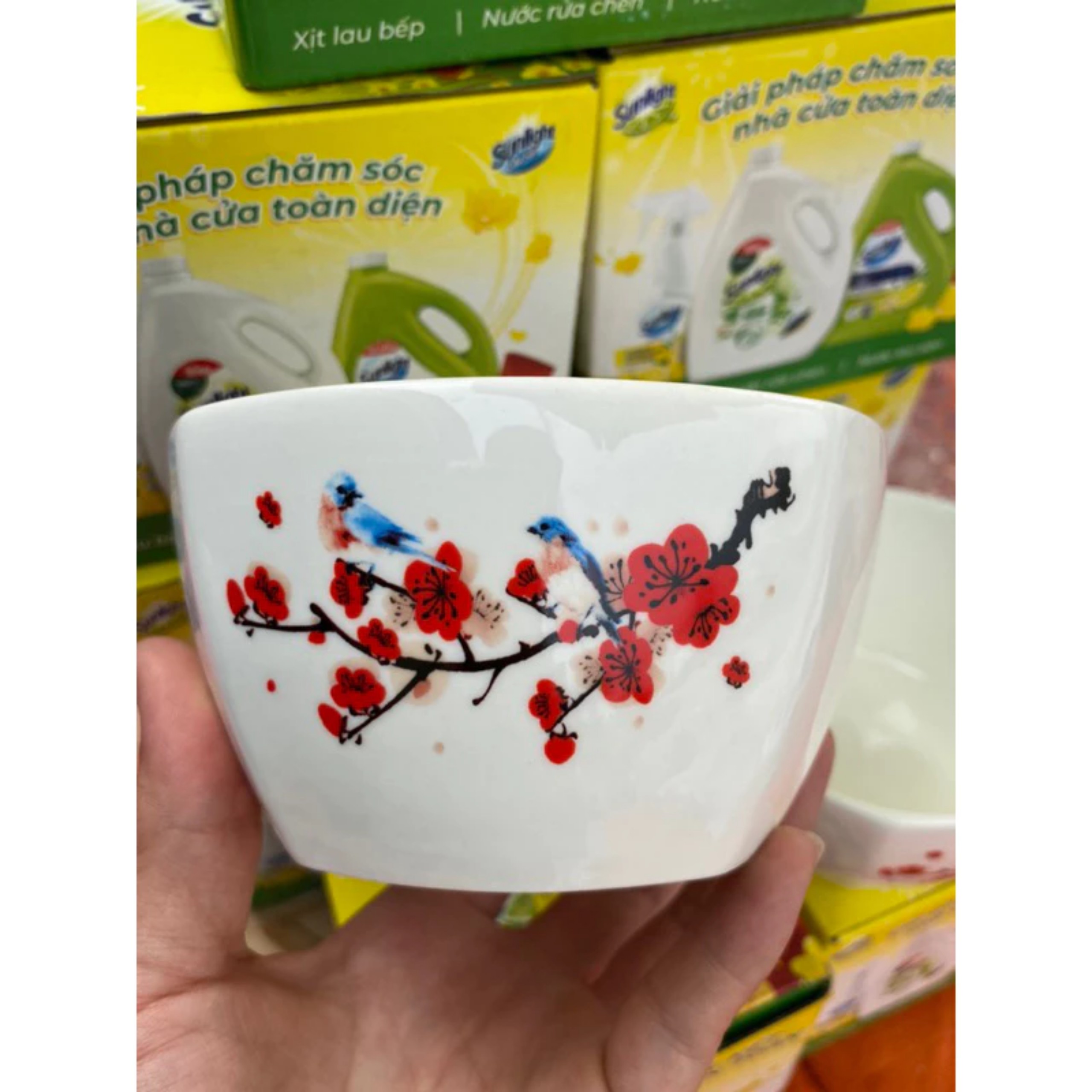 COMBO 2 CHÉN SUNLIGH