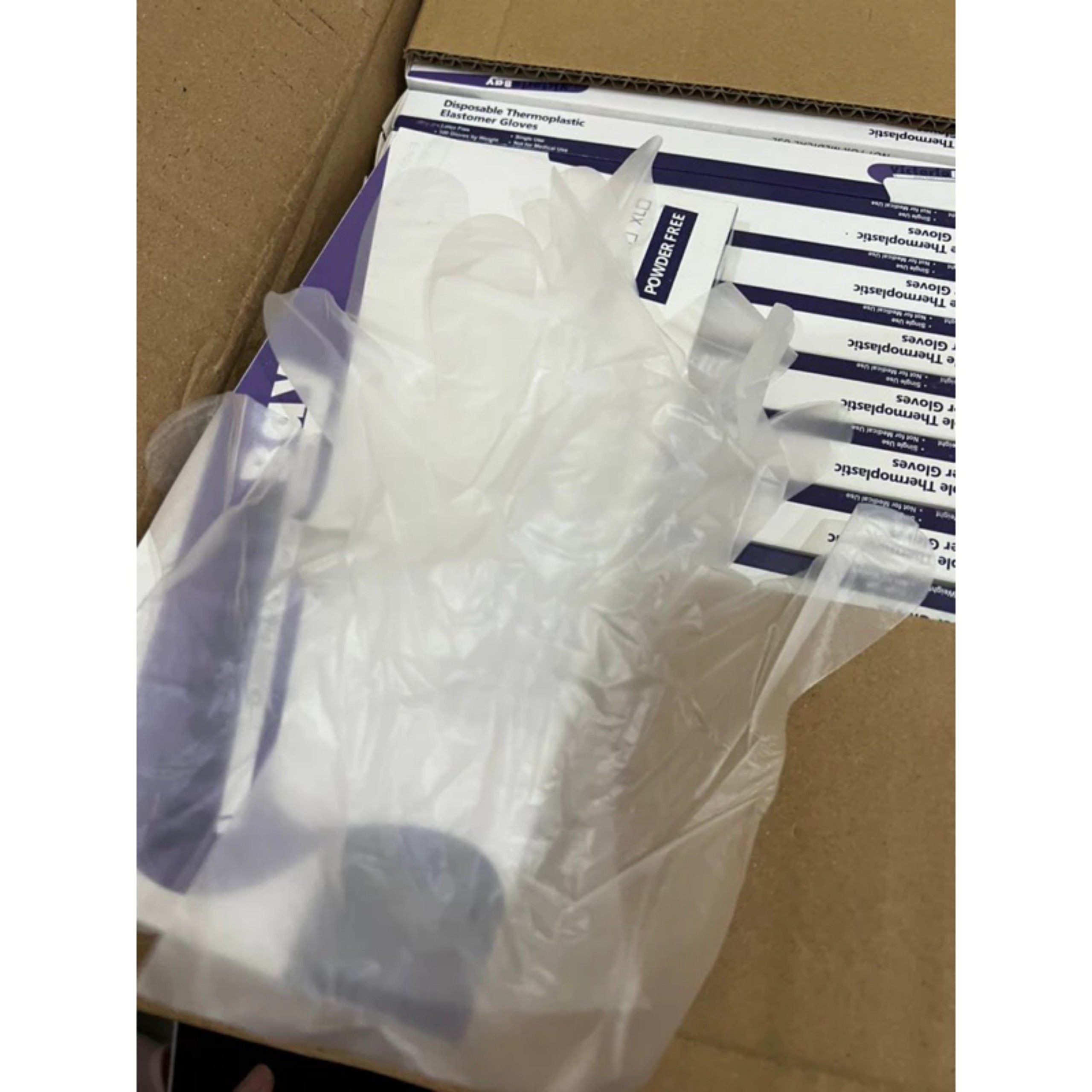 HỘP GĂNG TAY VITORIA BAY