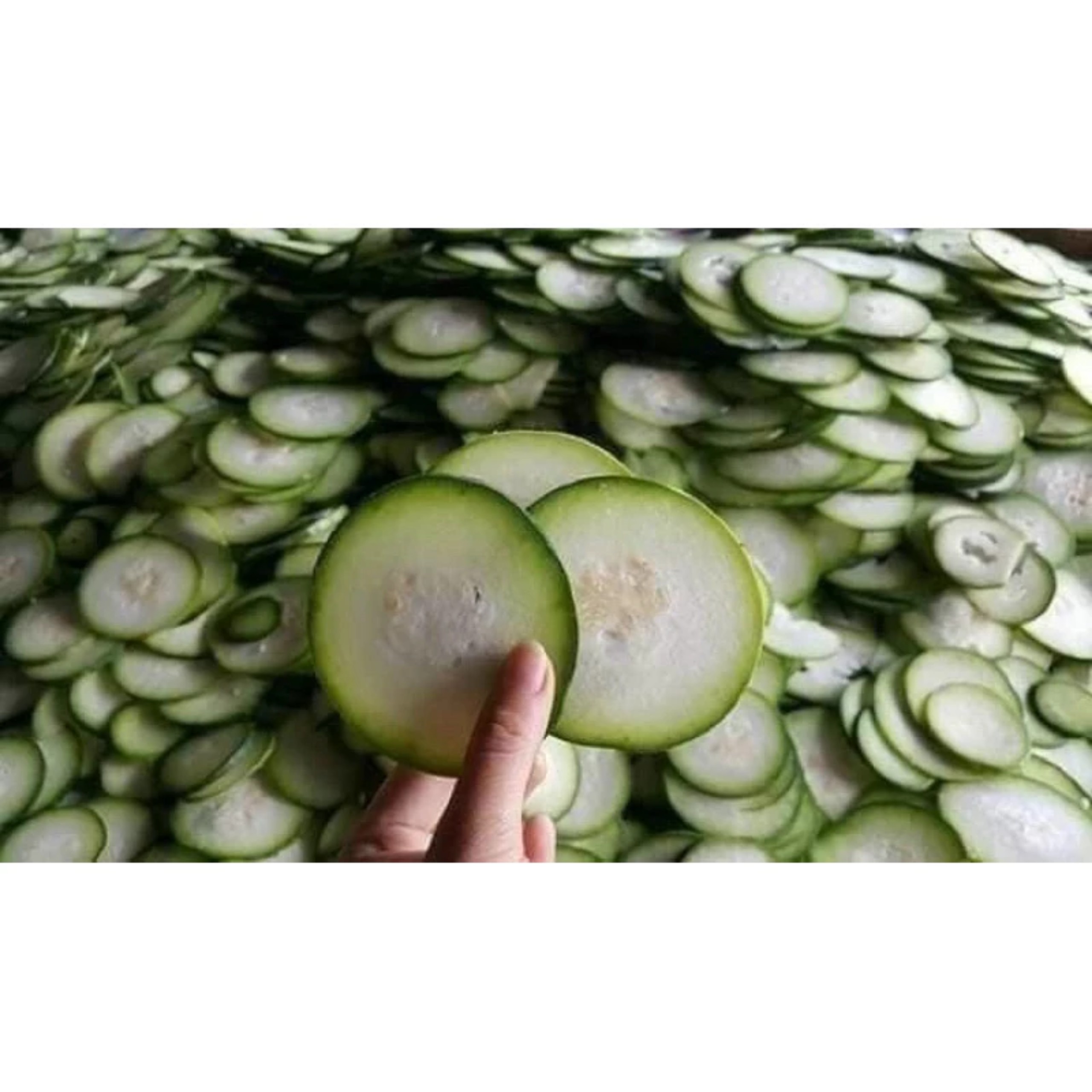 BÍ ĐAO SẤY KHÔ - THỨC UỐNG GIẢI NHIỆT < túi 500GR>