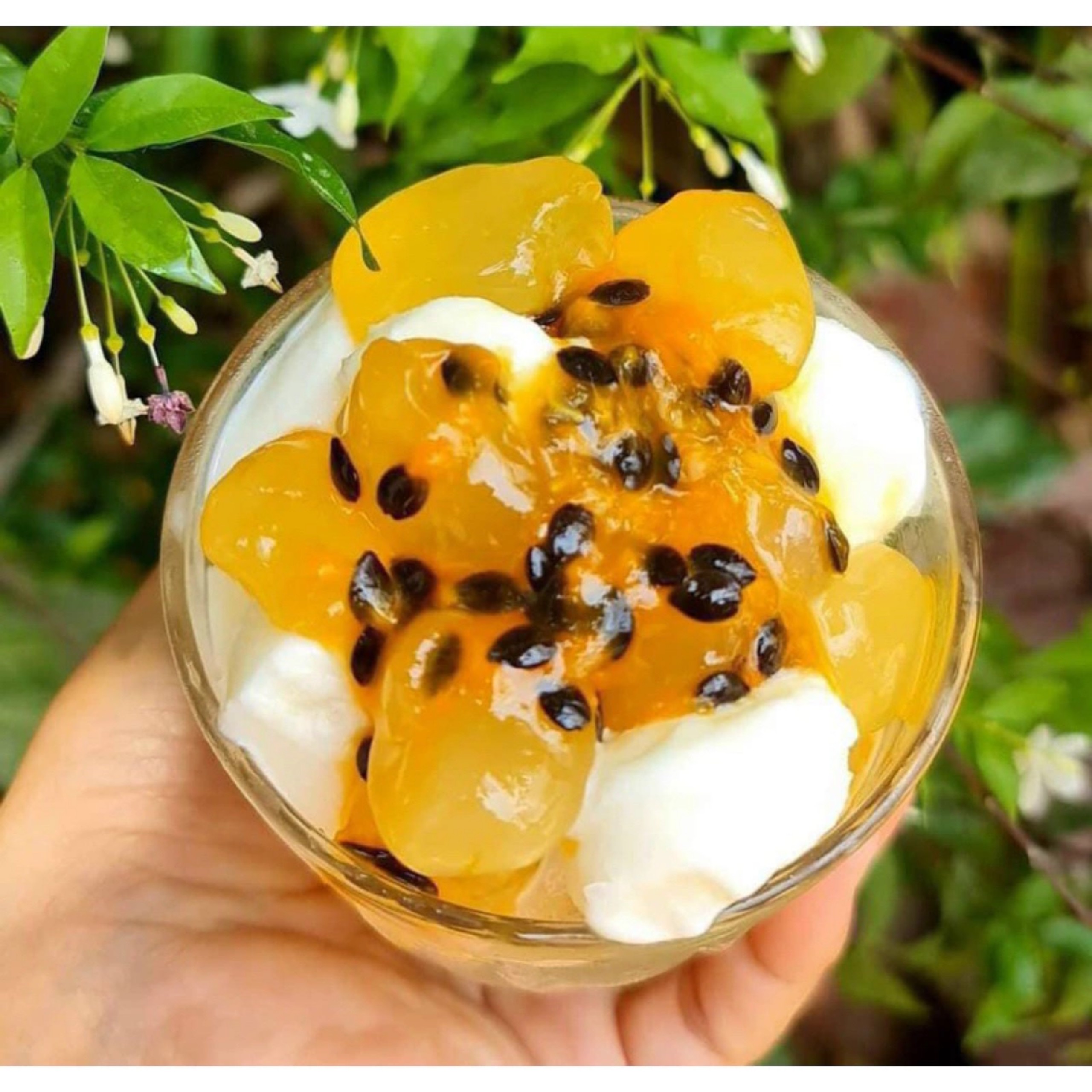 HẠT ĐÁC RIM CHANH DÂY 🍋 1 kg