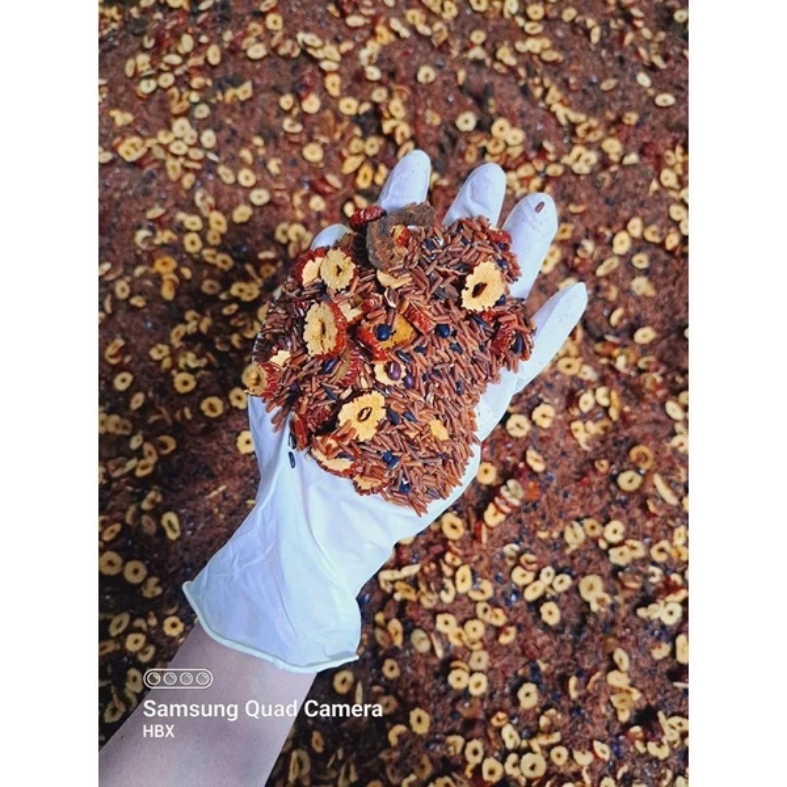 TRÀ GẠO LỨT TÁO ĐỎ