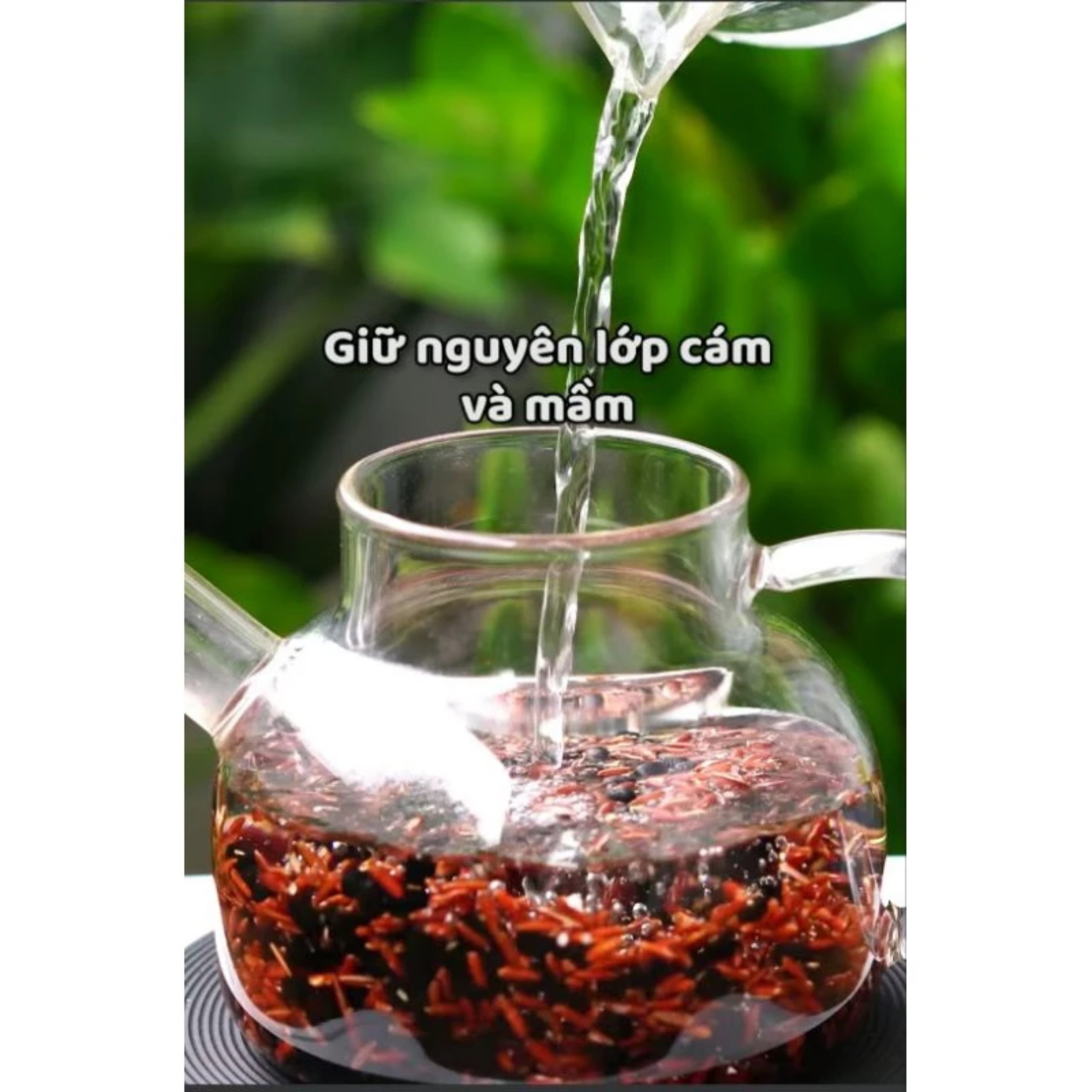 TRÀ GẠO LỨT, ĐẬU ĐEN, CỎ NGỌT, TÁO ĐỎ, LÁ DỨA