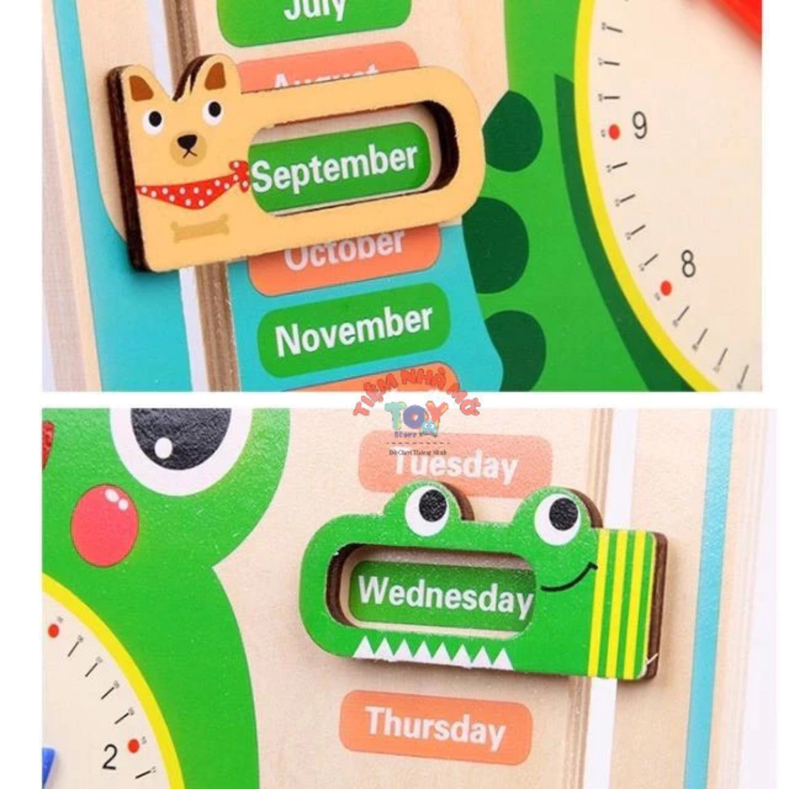 ĐỒNG HỒ ẾCH ĐA NĂNG