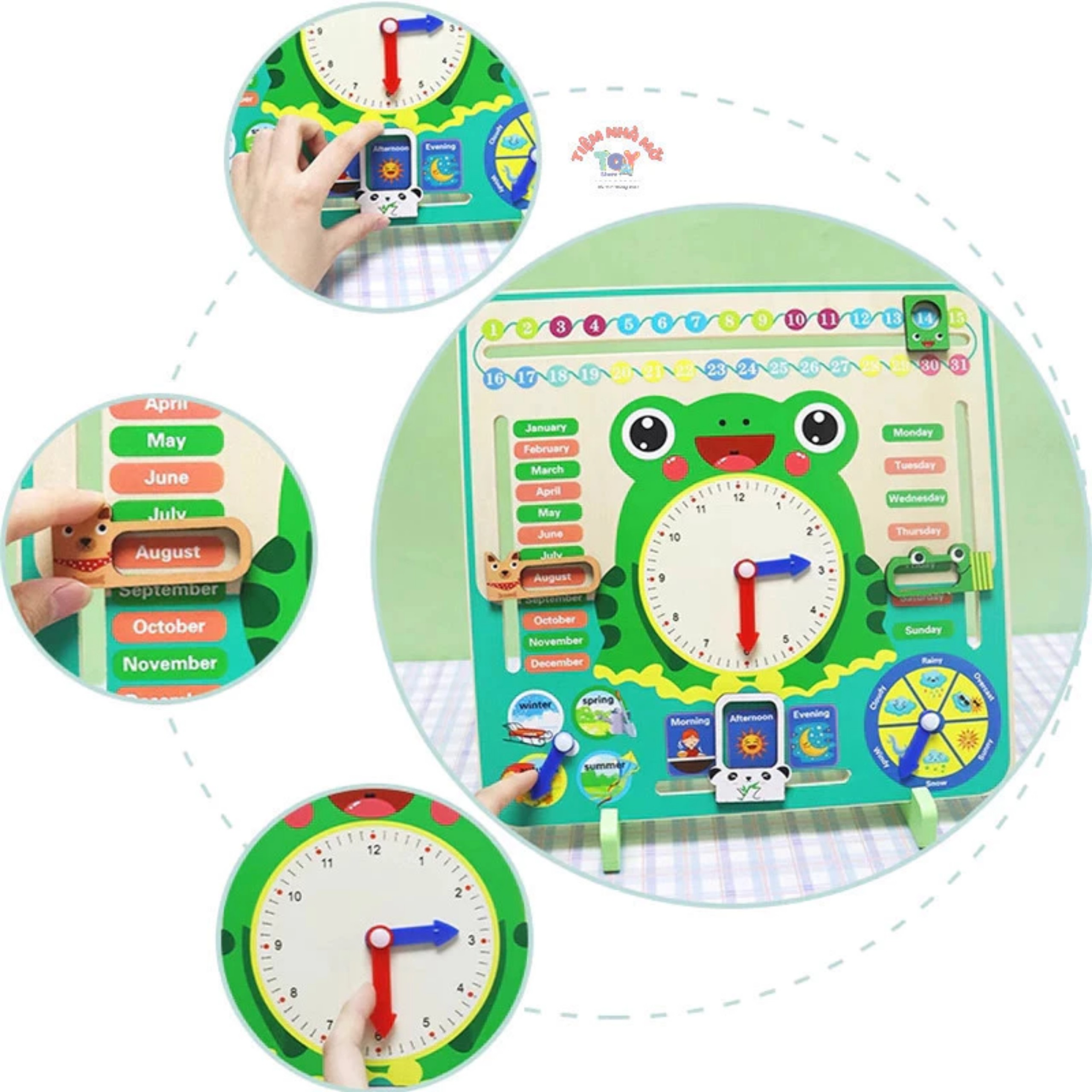 ĐỒNG HỒ ẾCH ĐA NĂNG