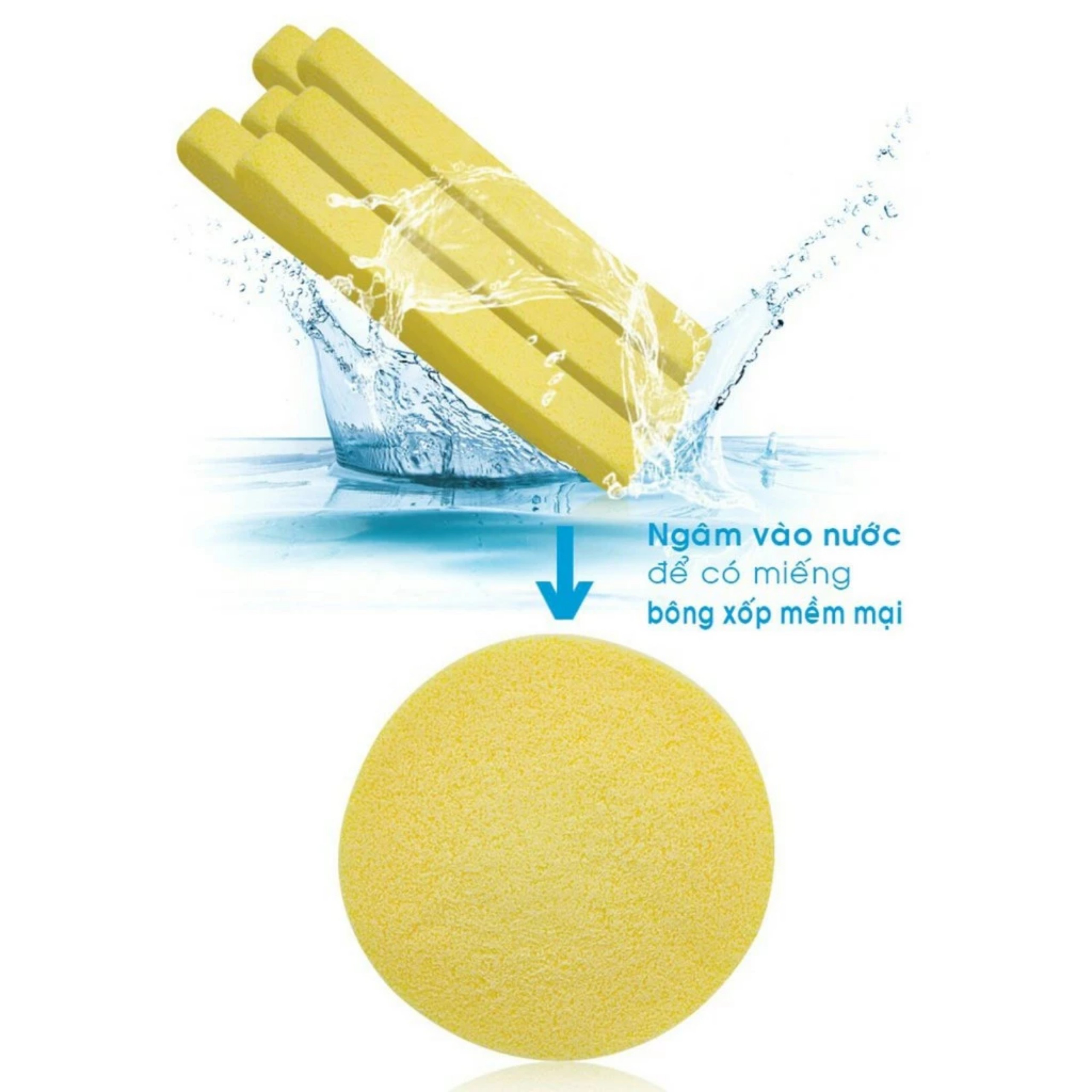 BÔNG RỬA MẶT BỌT BIỂN 12 MIẾNG