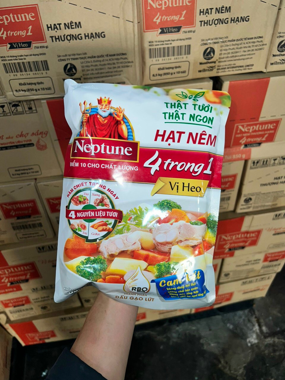 HẠT NÊM NEPTUNE