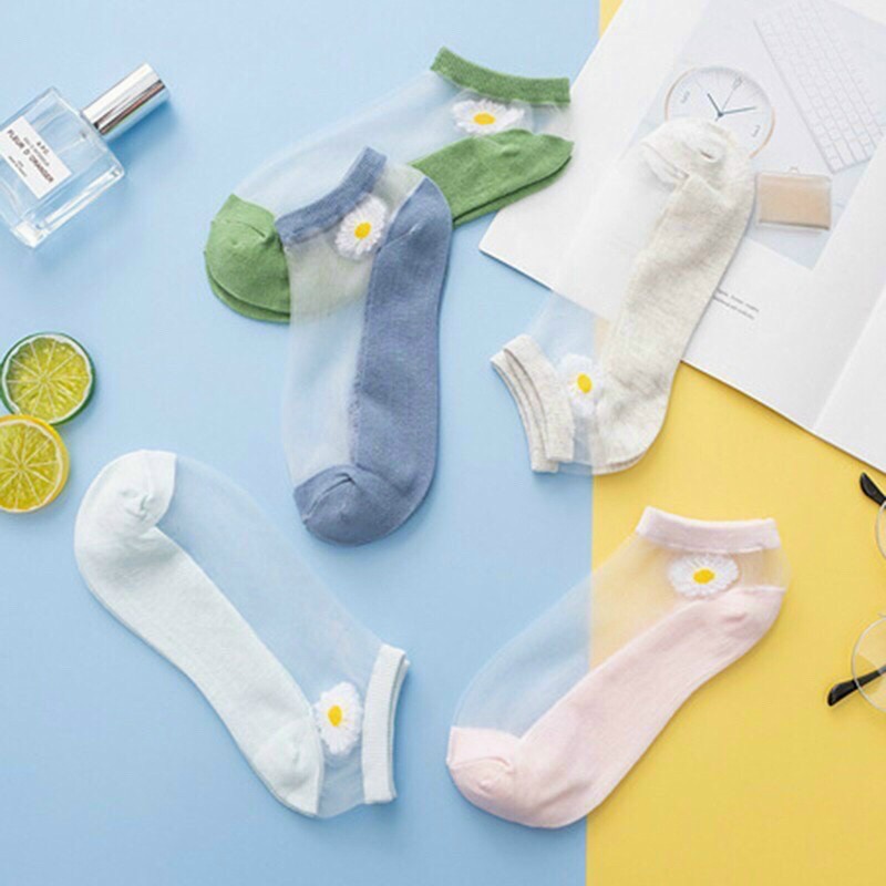 SET 10 ĐÔI VỚ REN HOA CÚC