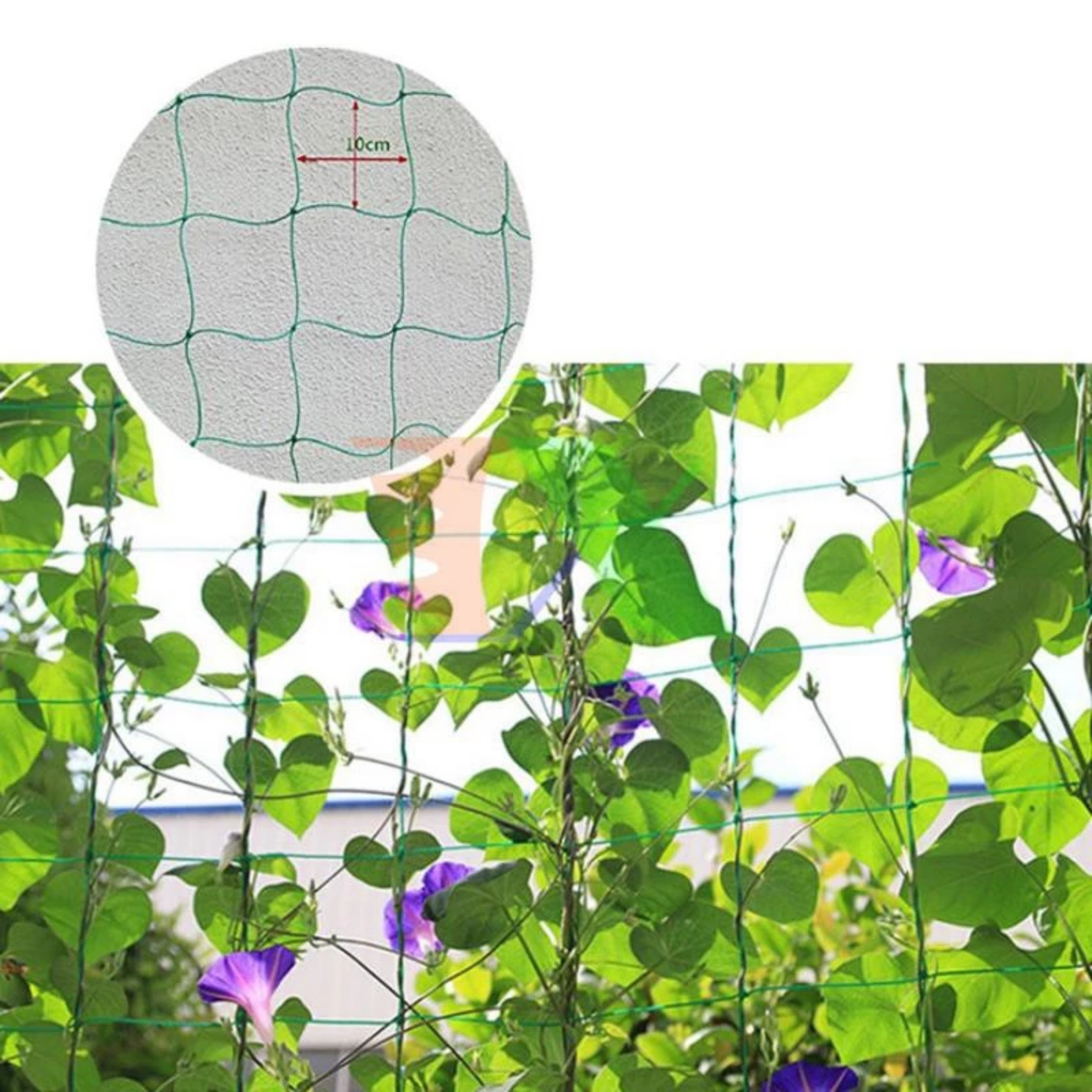 LƯỚI LÀM GIÀN LEO