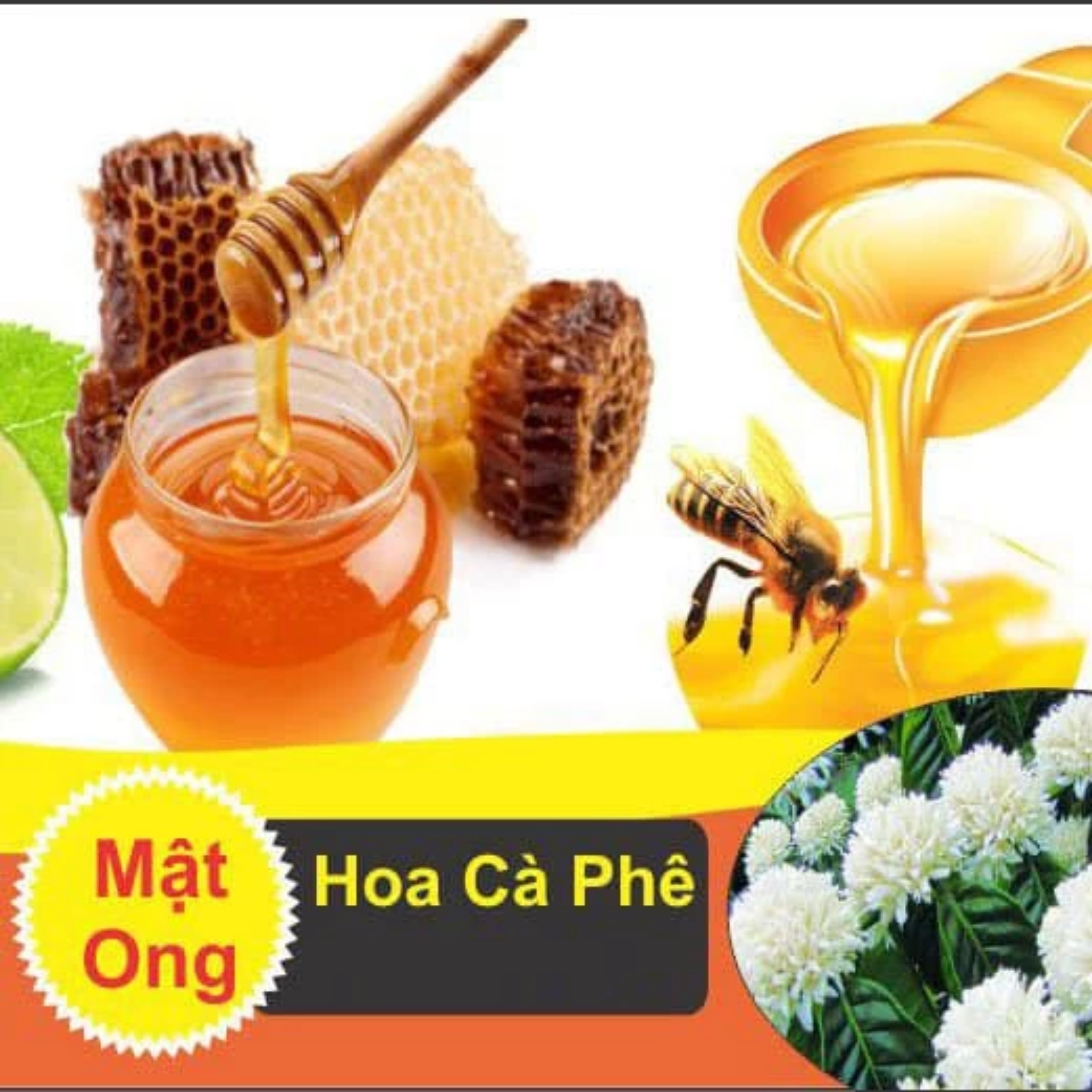 MẬT ONG HOA CÀ PHÊ 1 LÍT