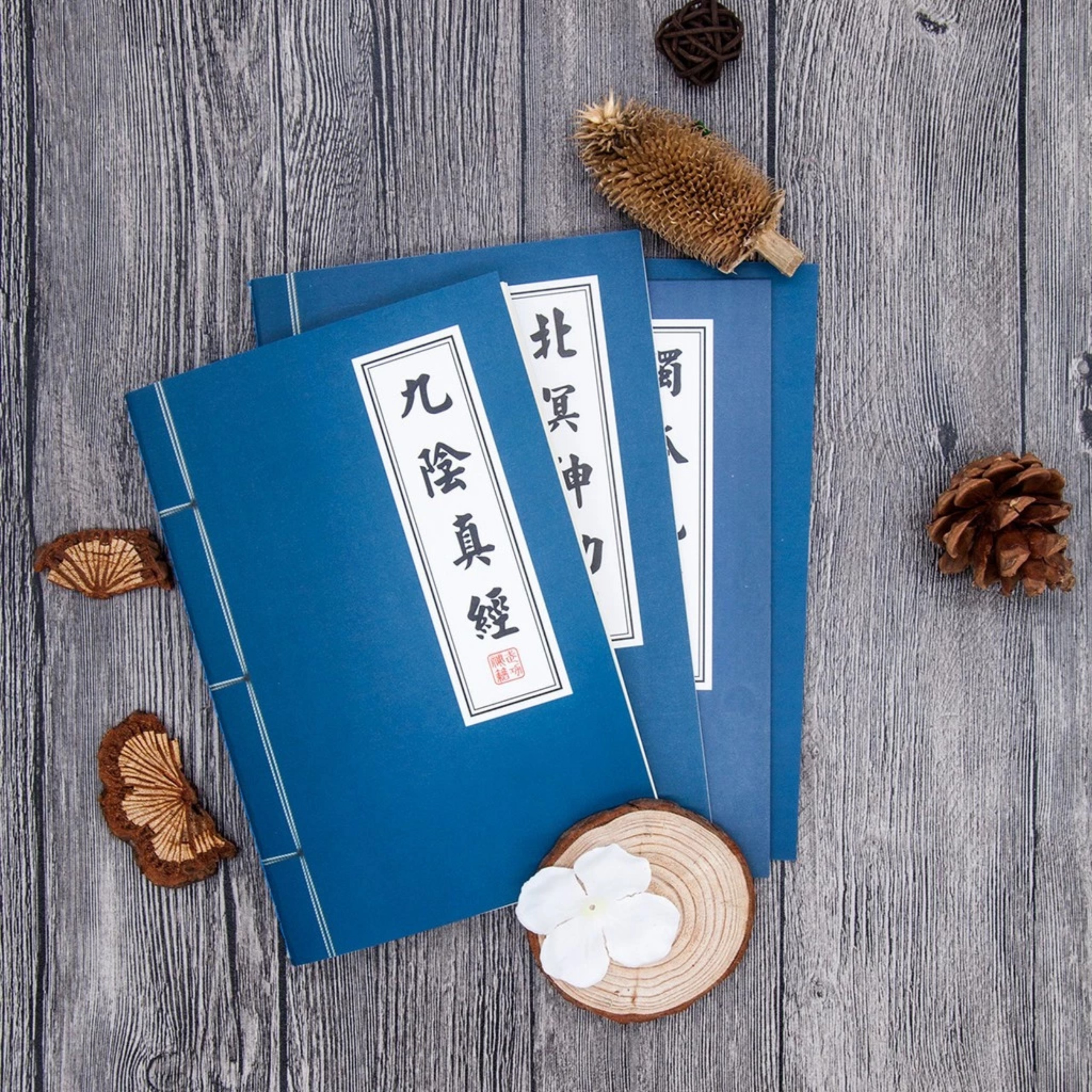 SET 3 SỔ TAY KIẾM HIỆP BÍ KÍP VÕ CÔNG TRUNG HOA