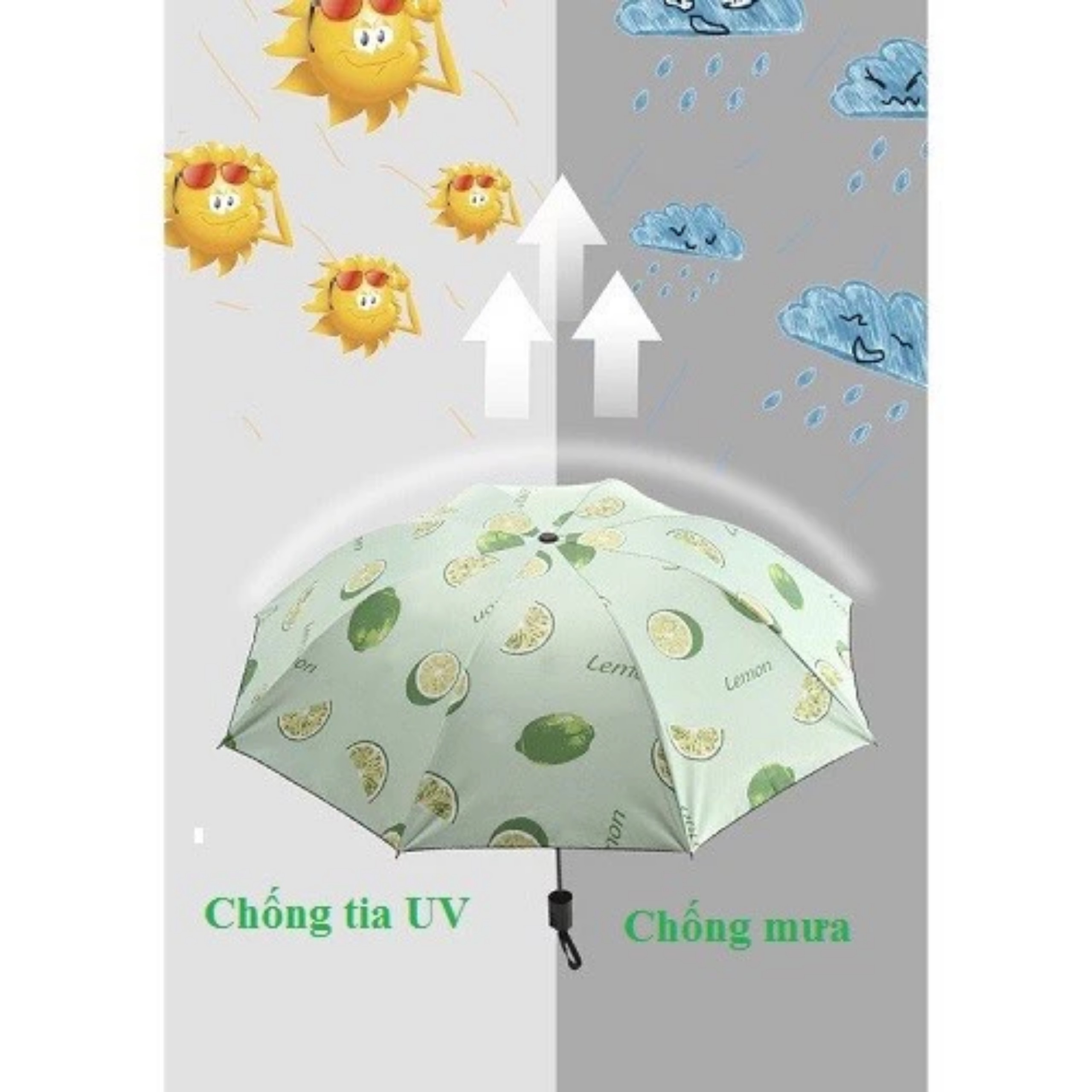 DÙ TRÁI CÂY CHỐNG UV