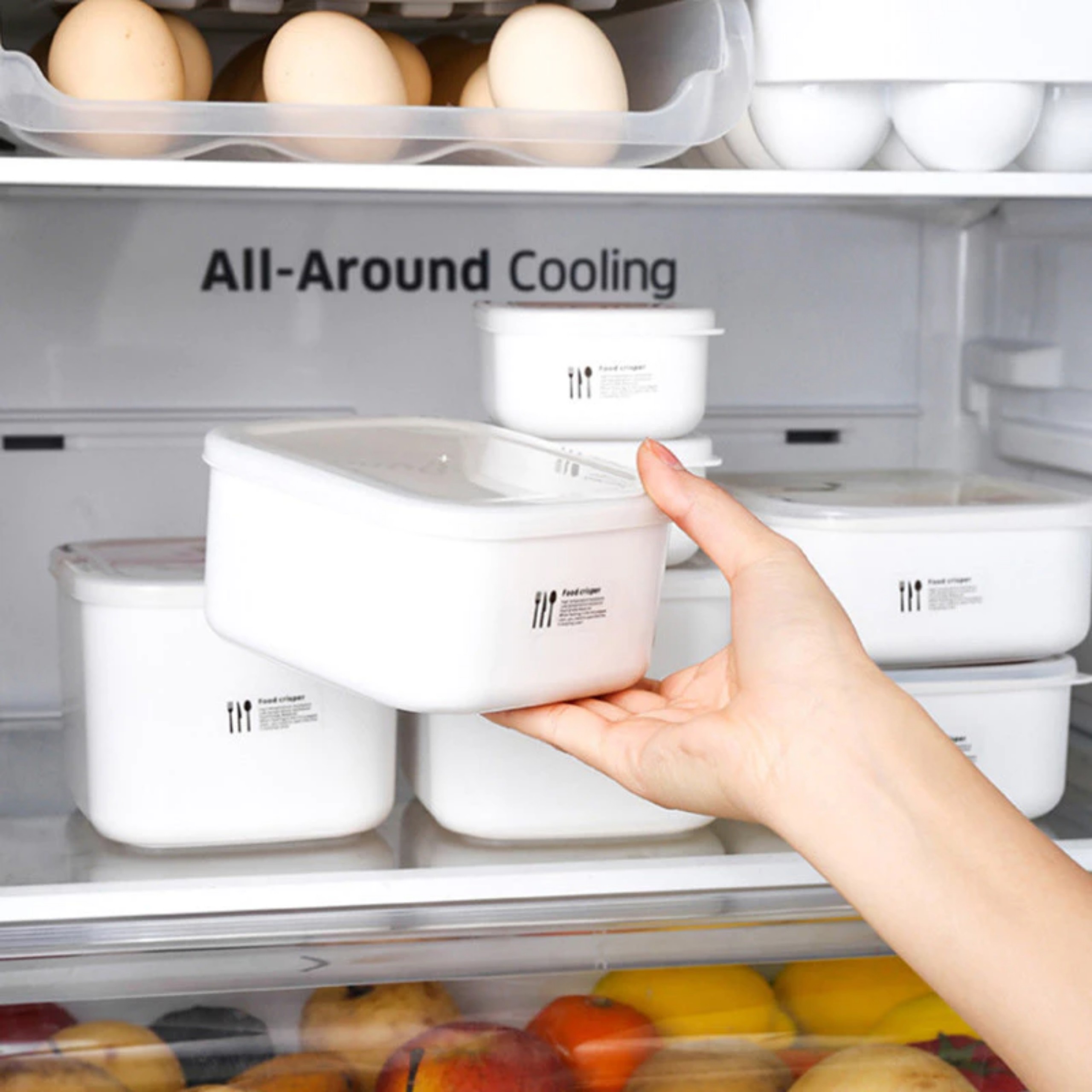 HỘP ĐỰNG THỨC ĂN, ĐỒ TRONG TỦ LẠNH - LÒ VI SÓNG 1000ML