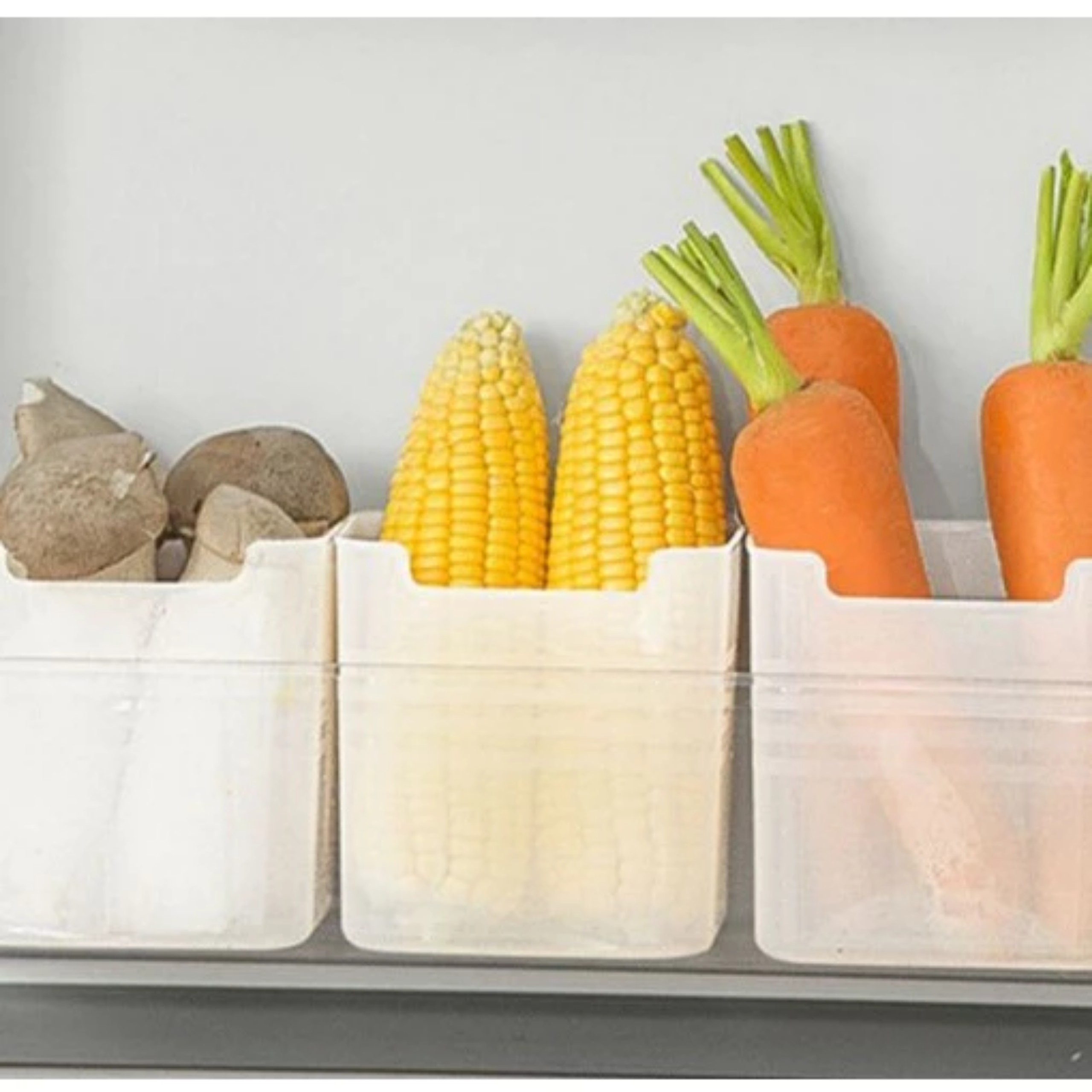 SET 5 HỘP ĐỰNG BẢO QUẢN TỦ LẠNH