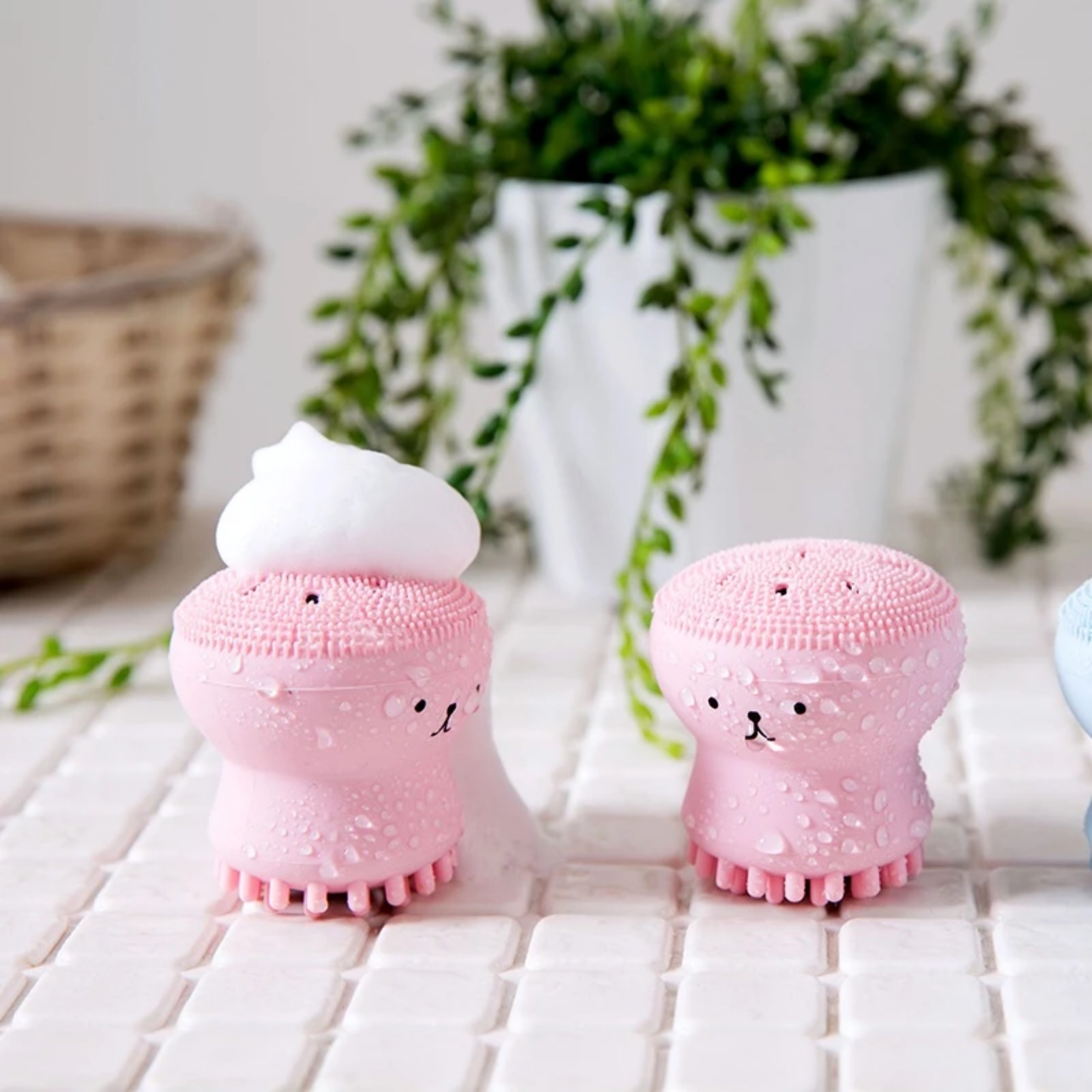 CỌ RỬA MẶT BẠCH TUỘT