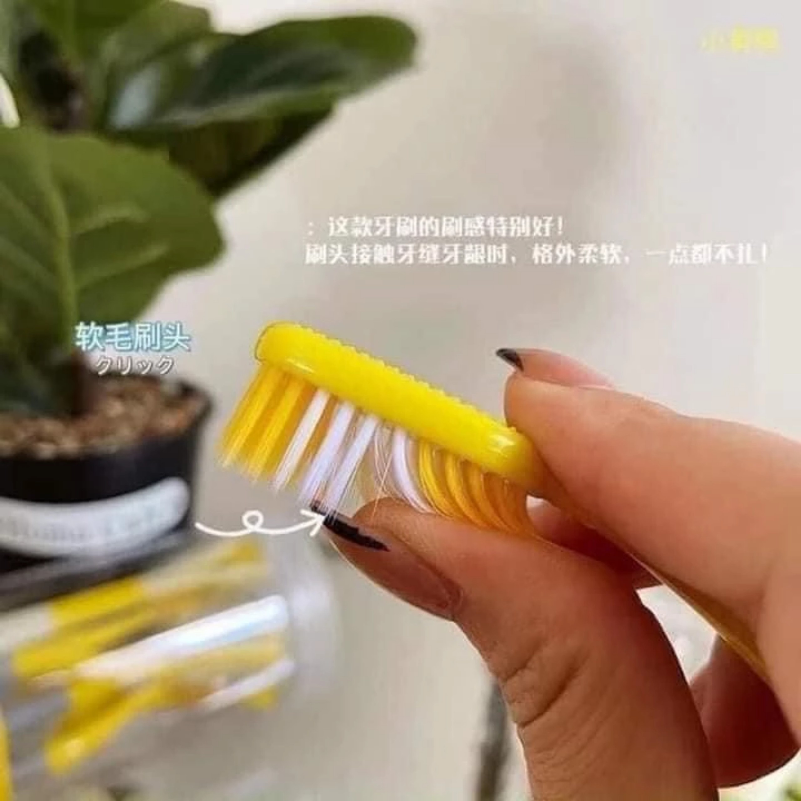 HỘP 8 BÀN CHẢI HÌNH VỊT VÀNG KÈM LƯỠI CẠO