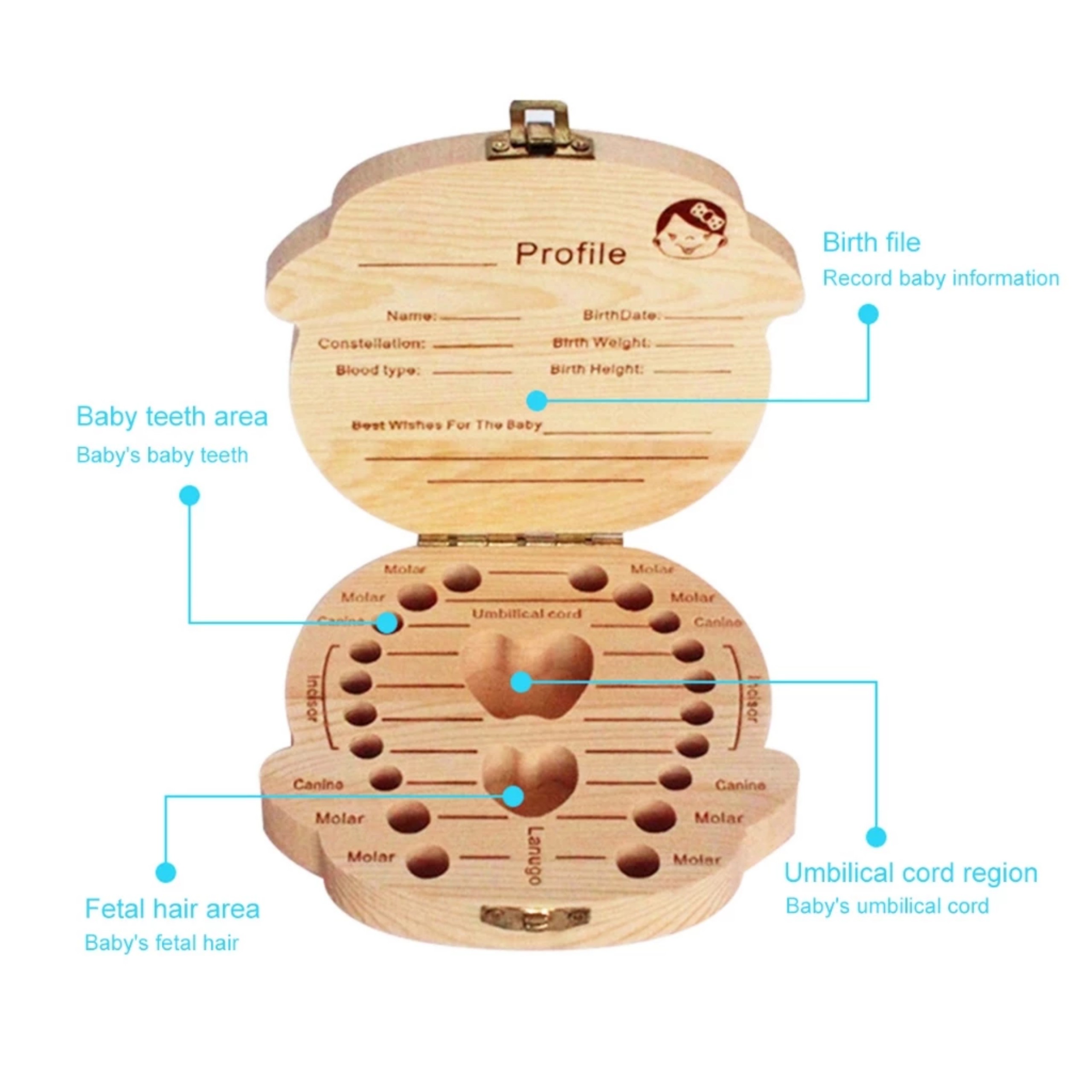 HỘP ĐỰNG RĂNG SỮA