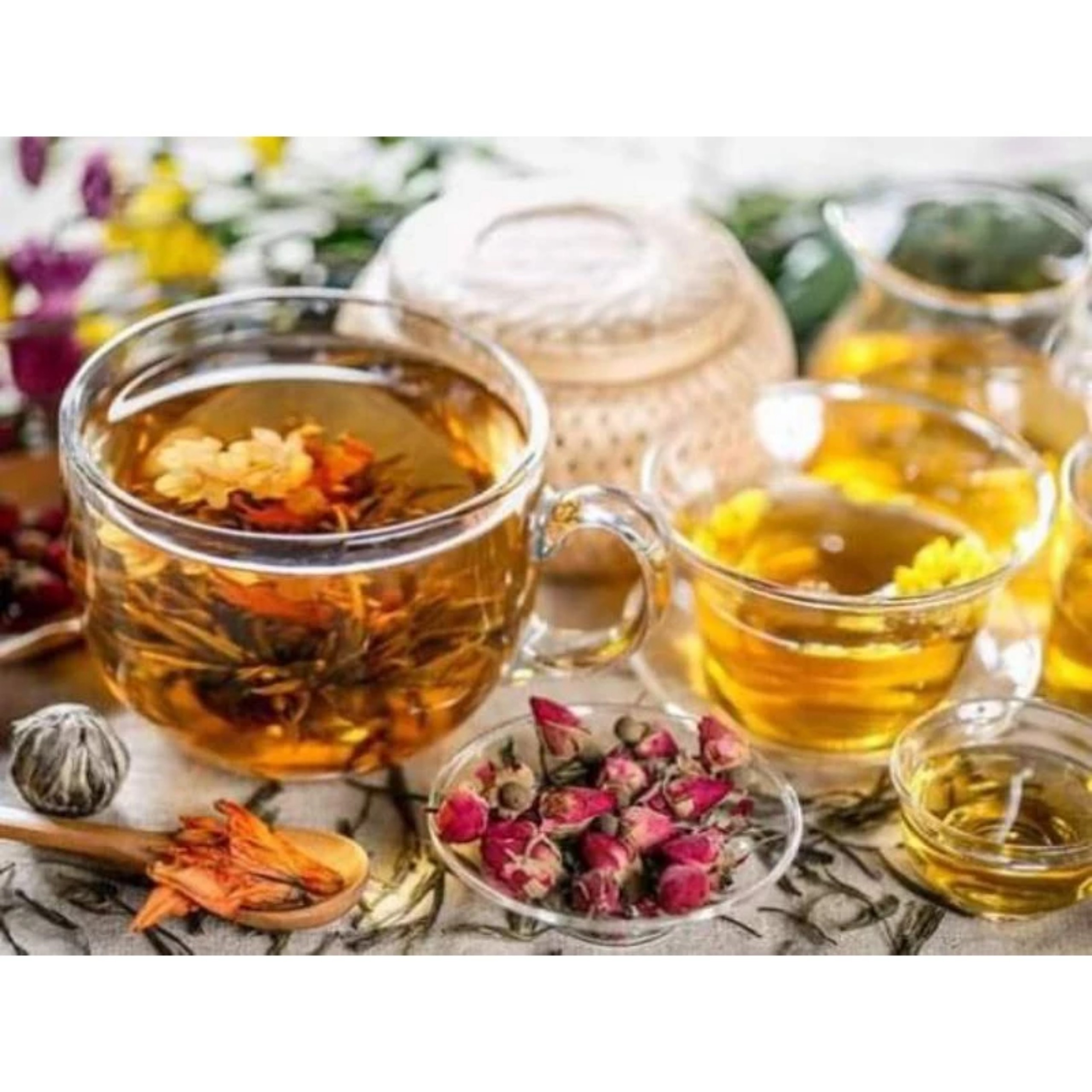 MỘC HOA TRÀ (TRÀ DƯỠNG NHAN ) TÂY BẮC 7 VỊ THẢO MỘC