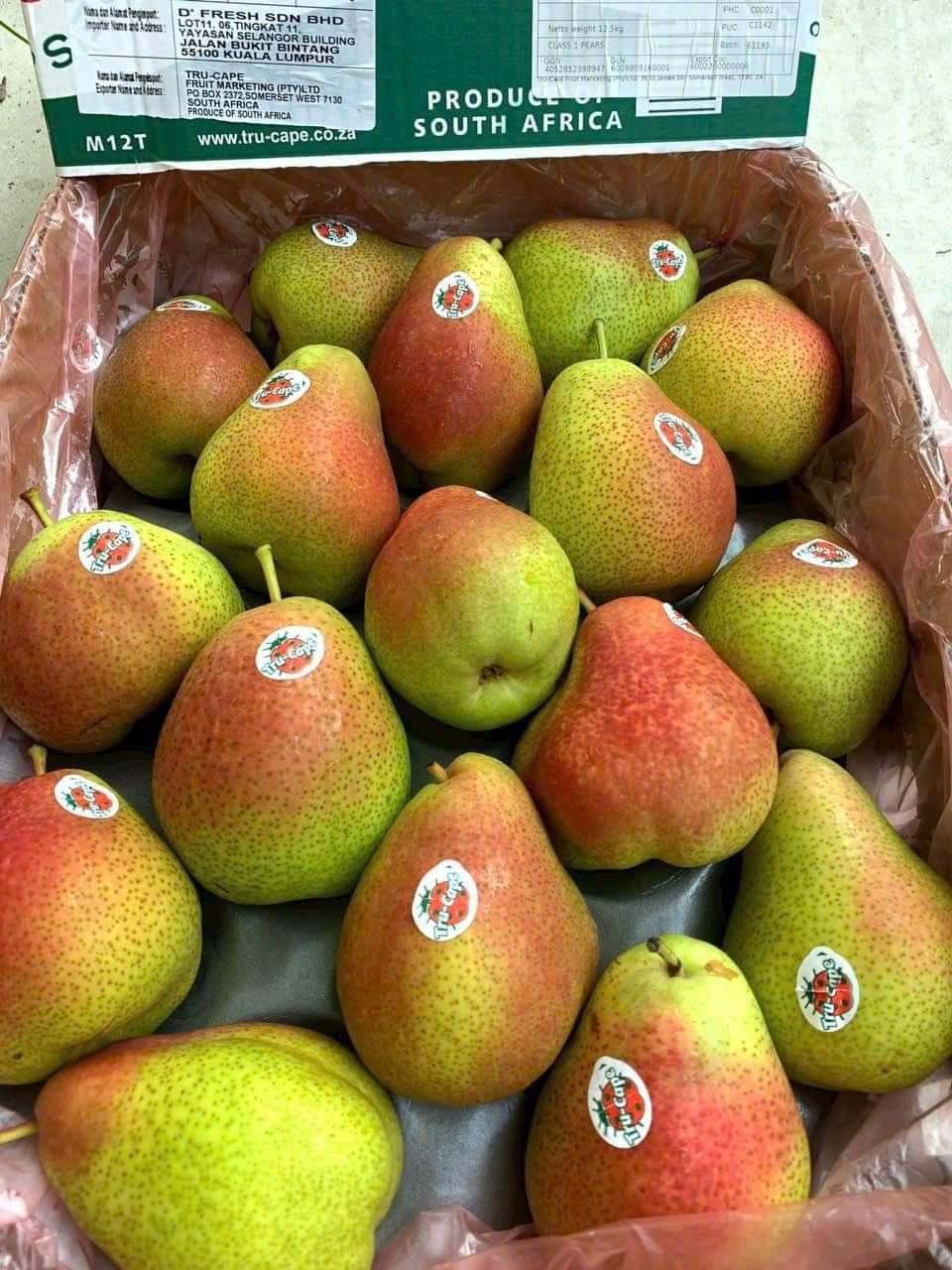 LÊ NAM PHI TRUCAPE 1KG