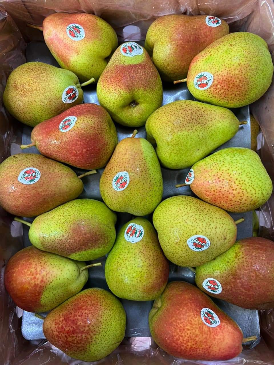 LÊ NAM PHI TRUCAPE 1KG