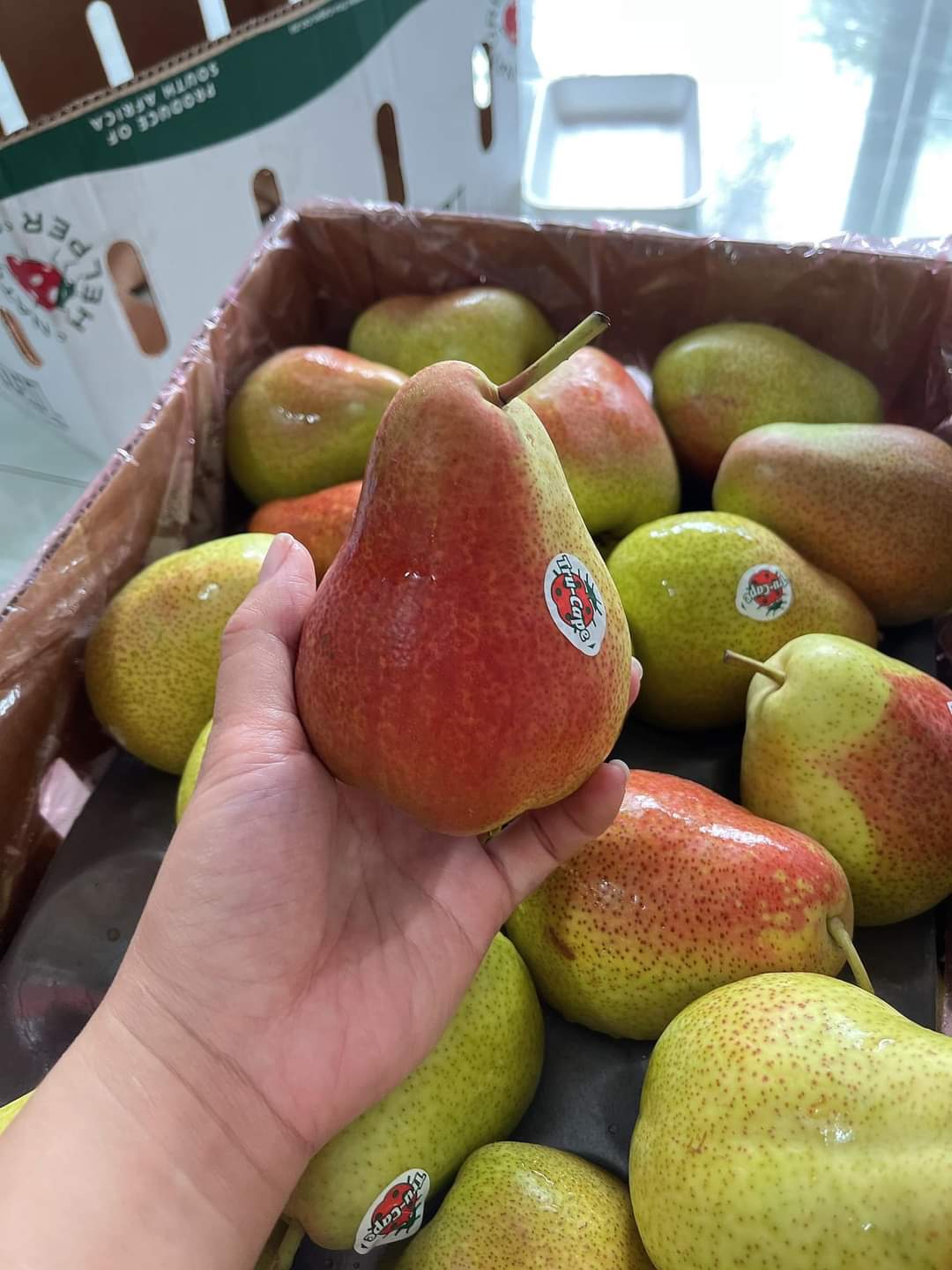 LÊ NAM PHI TRUCAPE 1KG